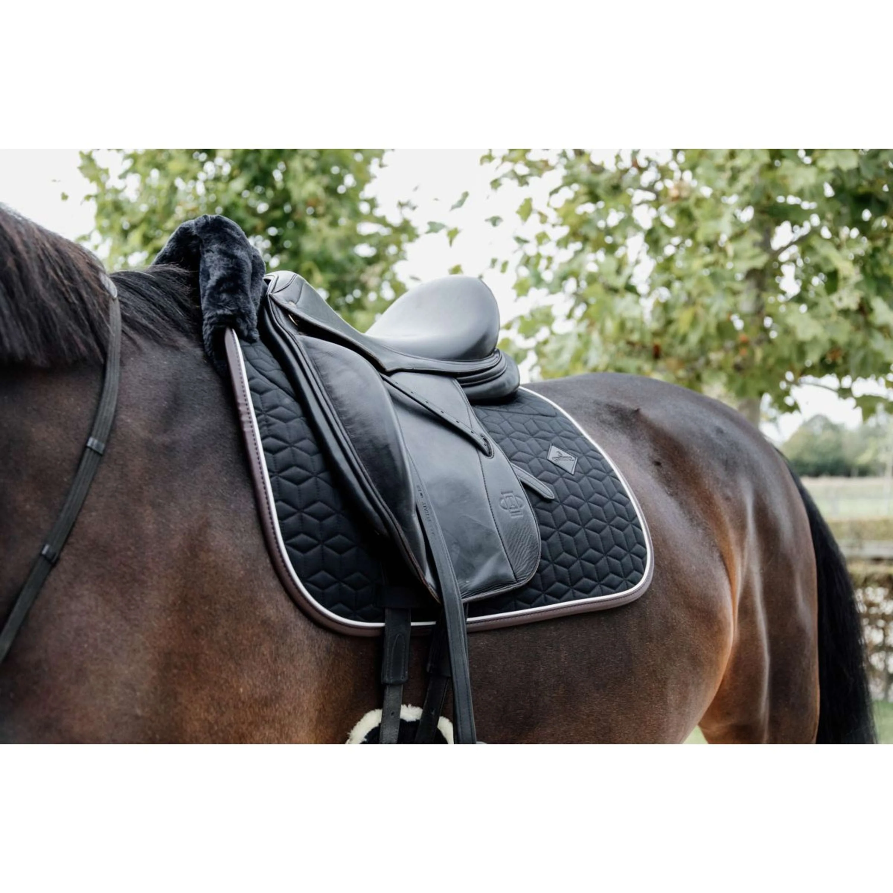 Kentucky Tapis de Selle Skin Friendly Dressur Noir - Image 3