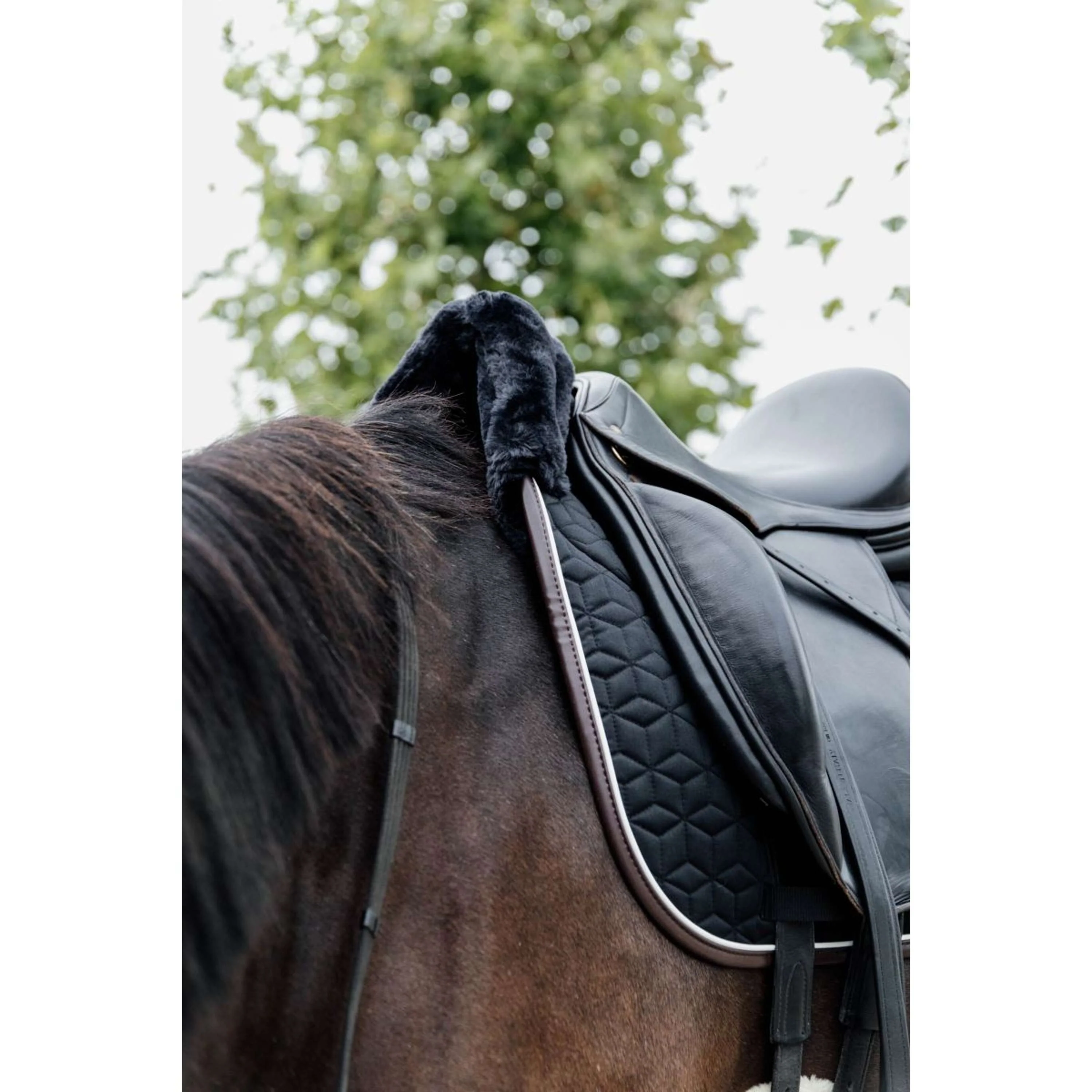 Kentucky Tapis de Selle Skin Friendly Dressur Noir - Image 5