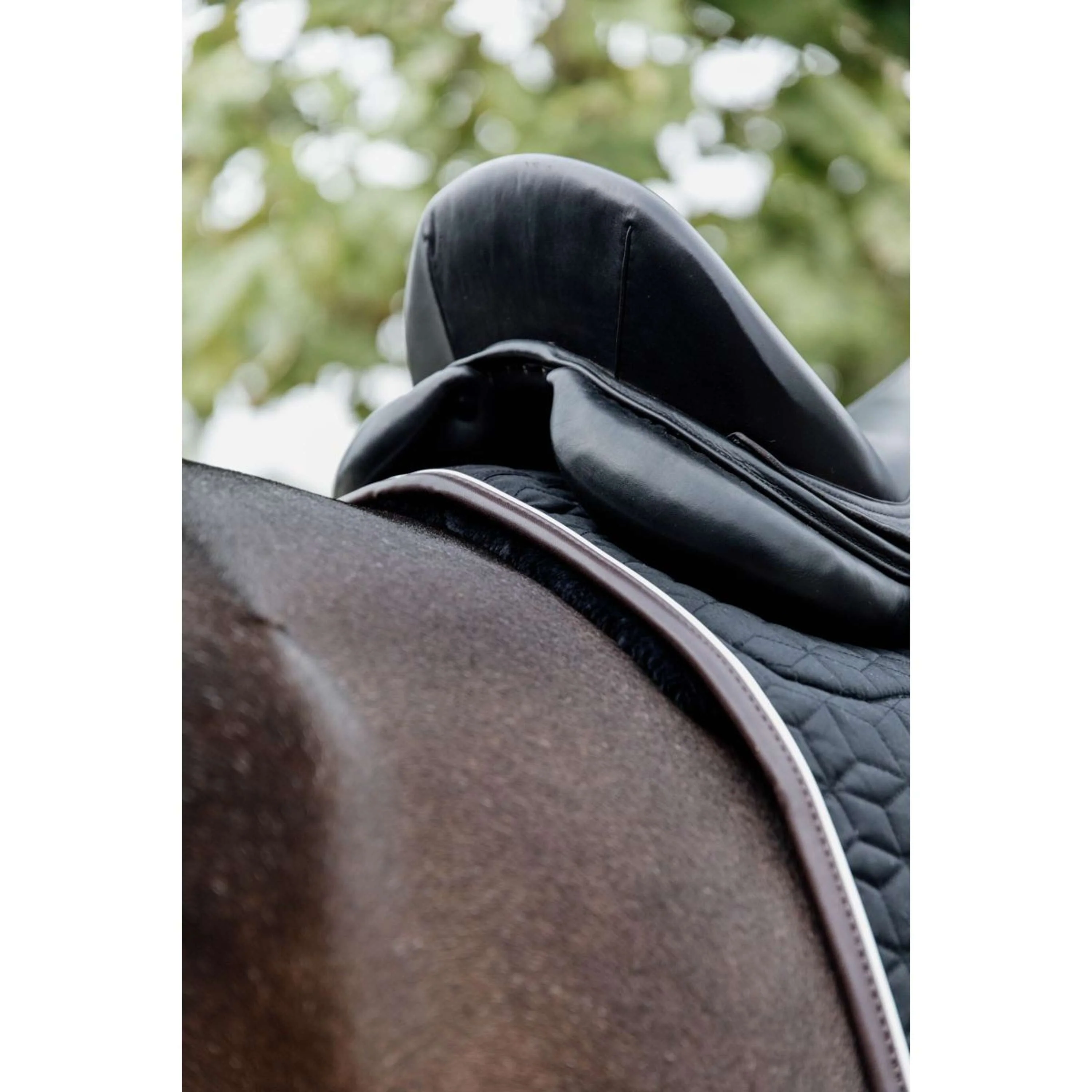 Kentucky Tapis de Selle Skin Friendly Dressur Noir - Image 7