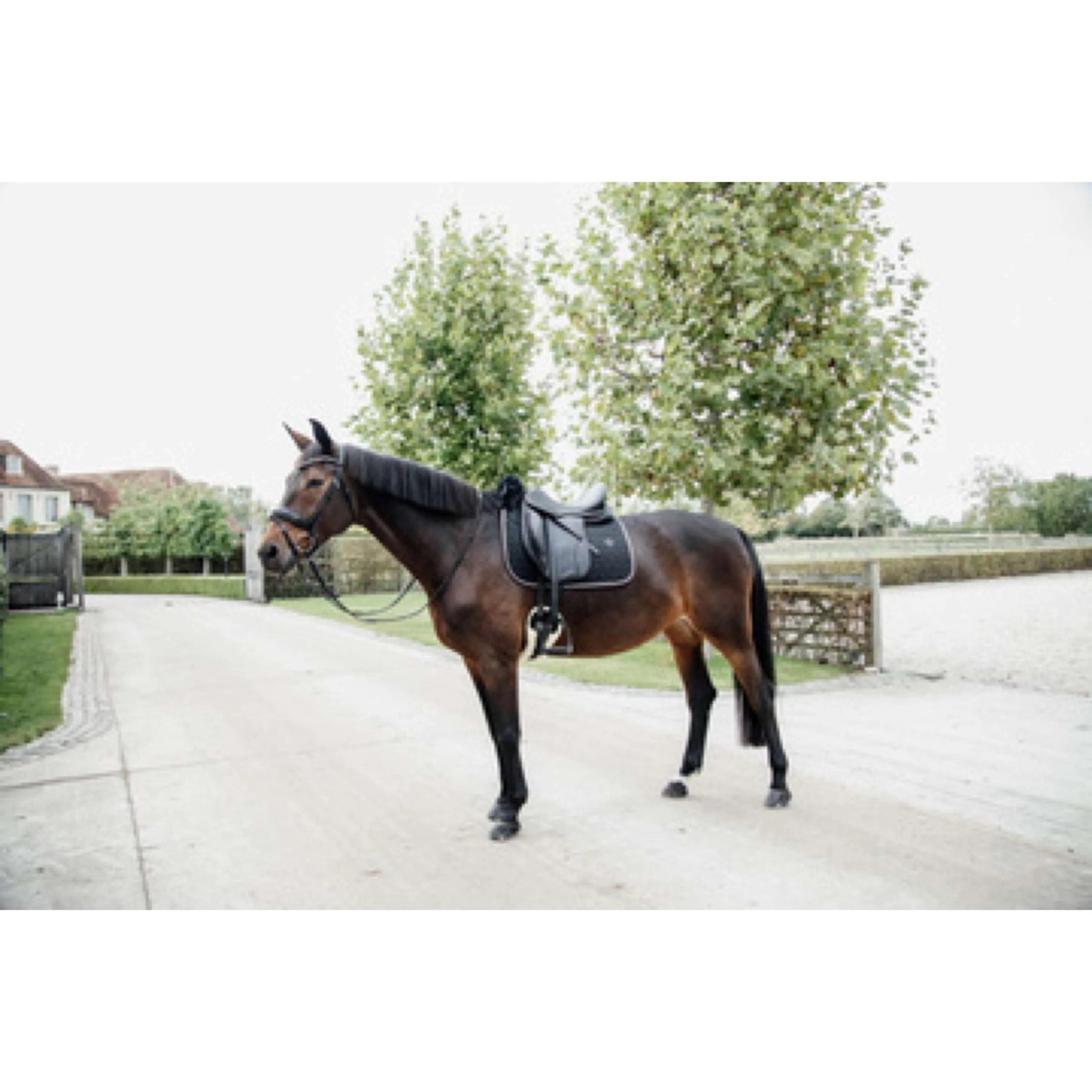 Kentucky Tapis de Selle Skin Friendly Dressur Noir - Image 8