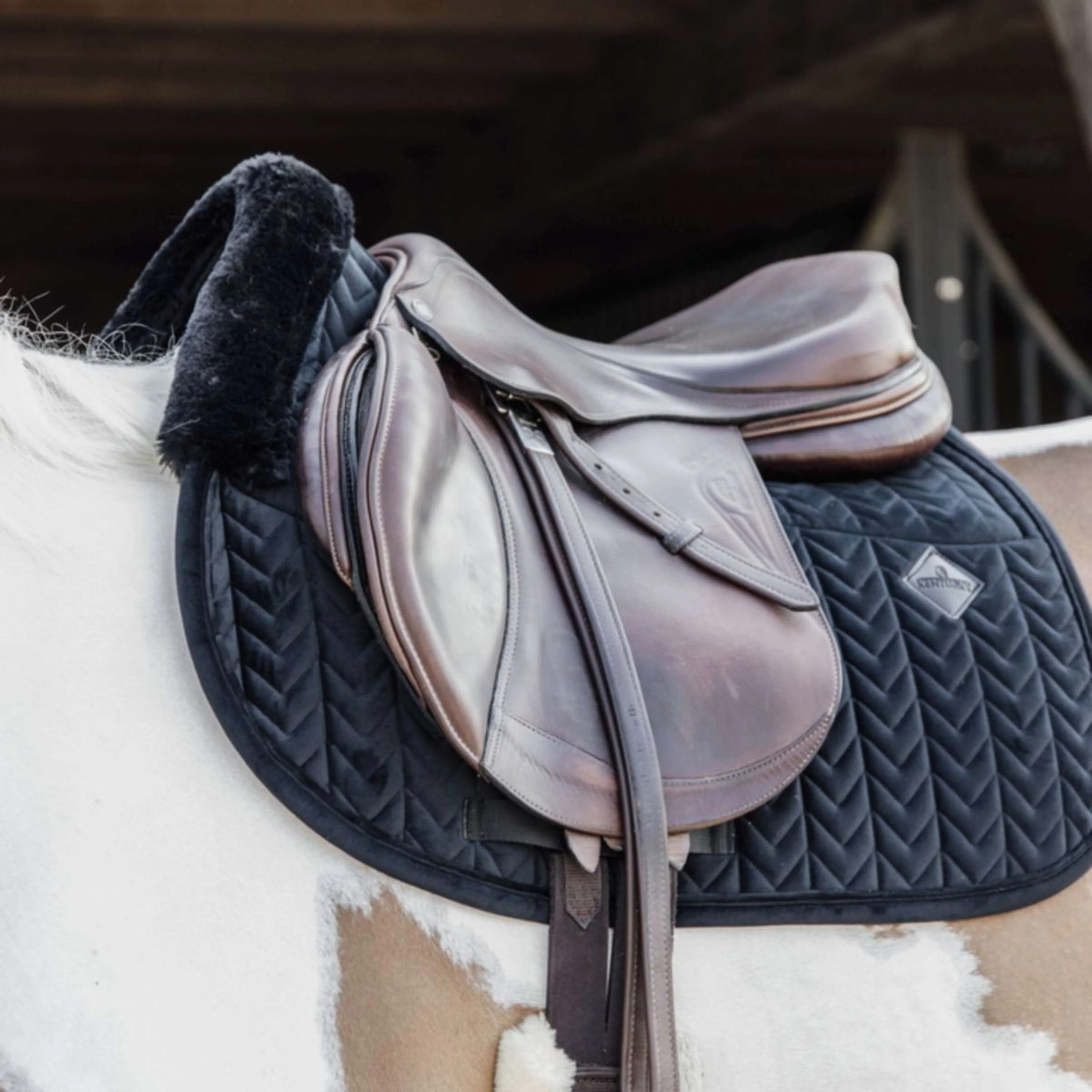 Kentucky Tapis de Selle Skin Friendly Velours de Saut Noir - Image 2