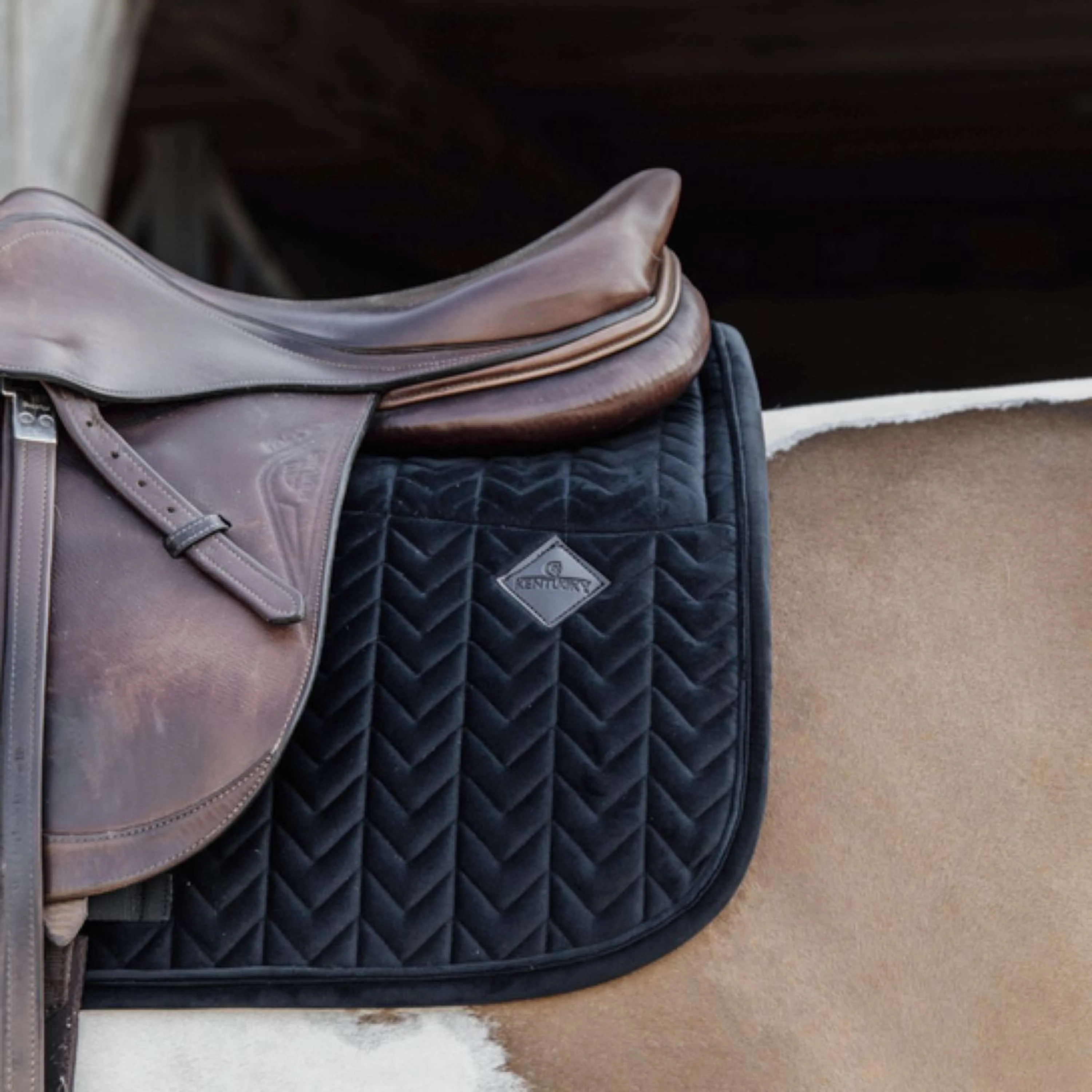 Kentucky Tapis de Selle Skin Friendly Velours de Saut Noir - Image 3