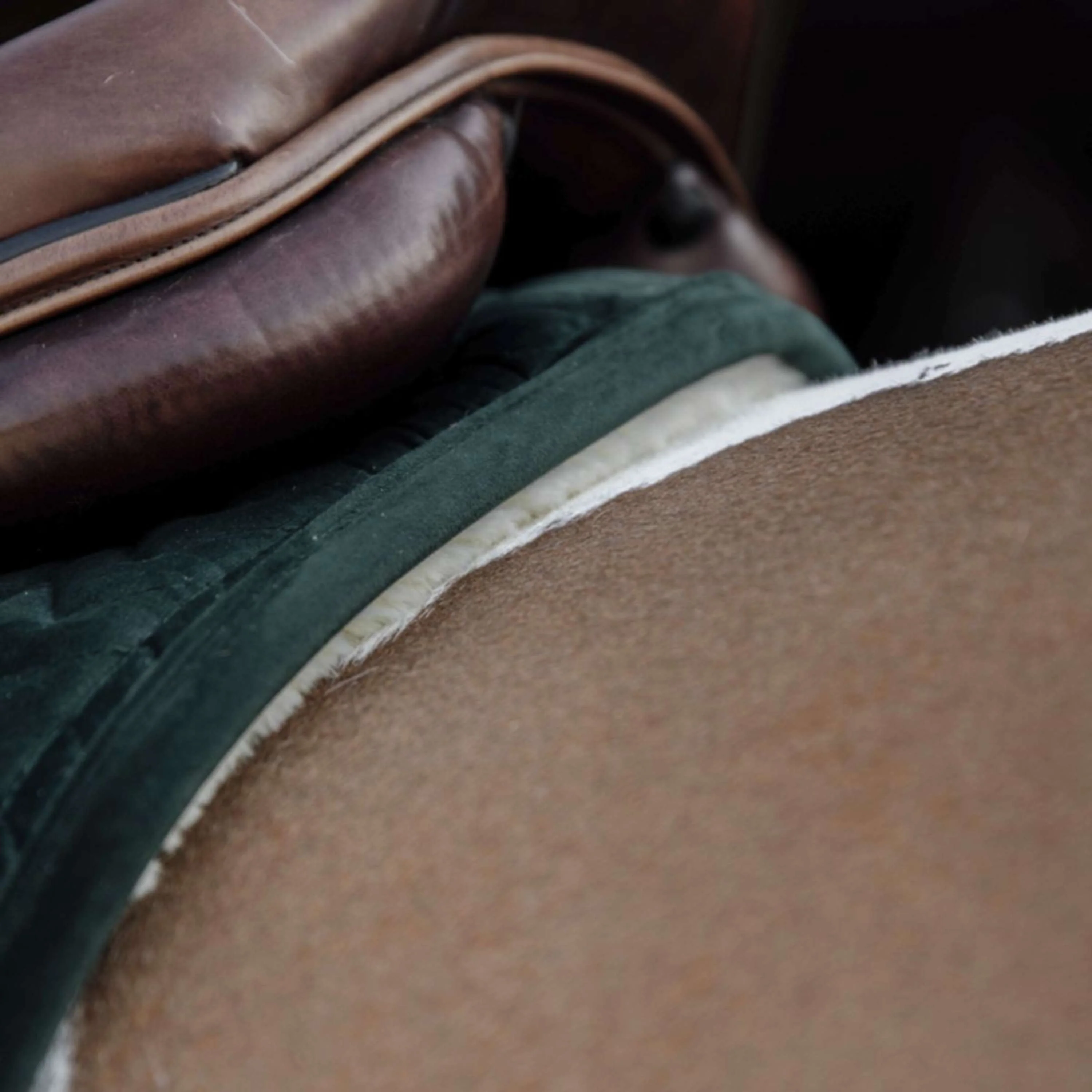 Kentucky Tapis de Selle Skin Friendly velours de Saut Pine Green - Image 3