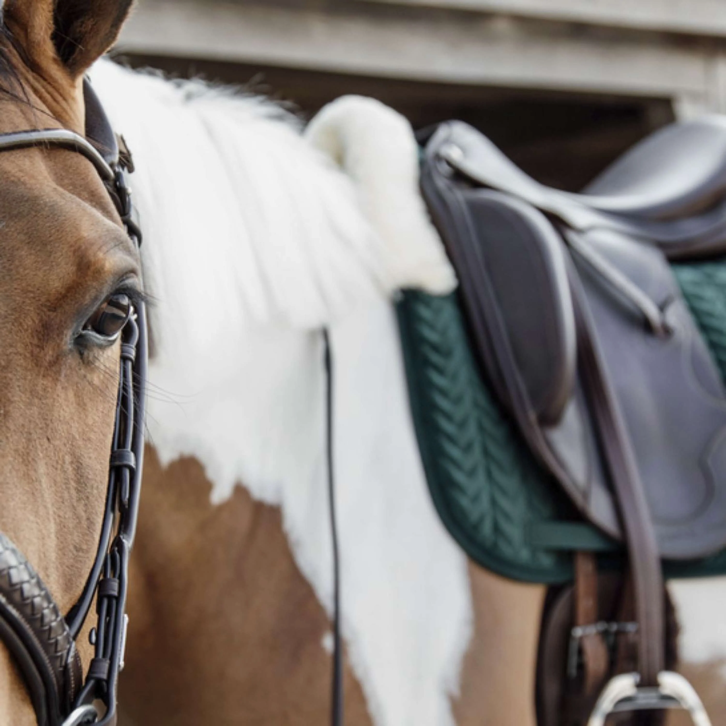 Kentucky Tapis de Selle Skin Friendly velours Dressage Pine Green - Image 3