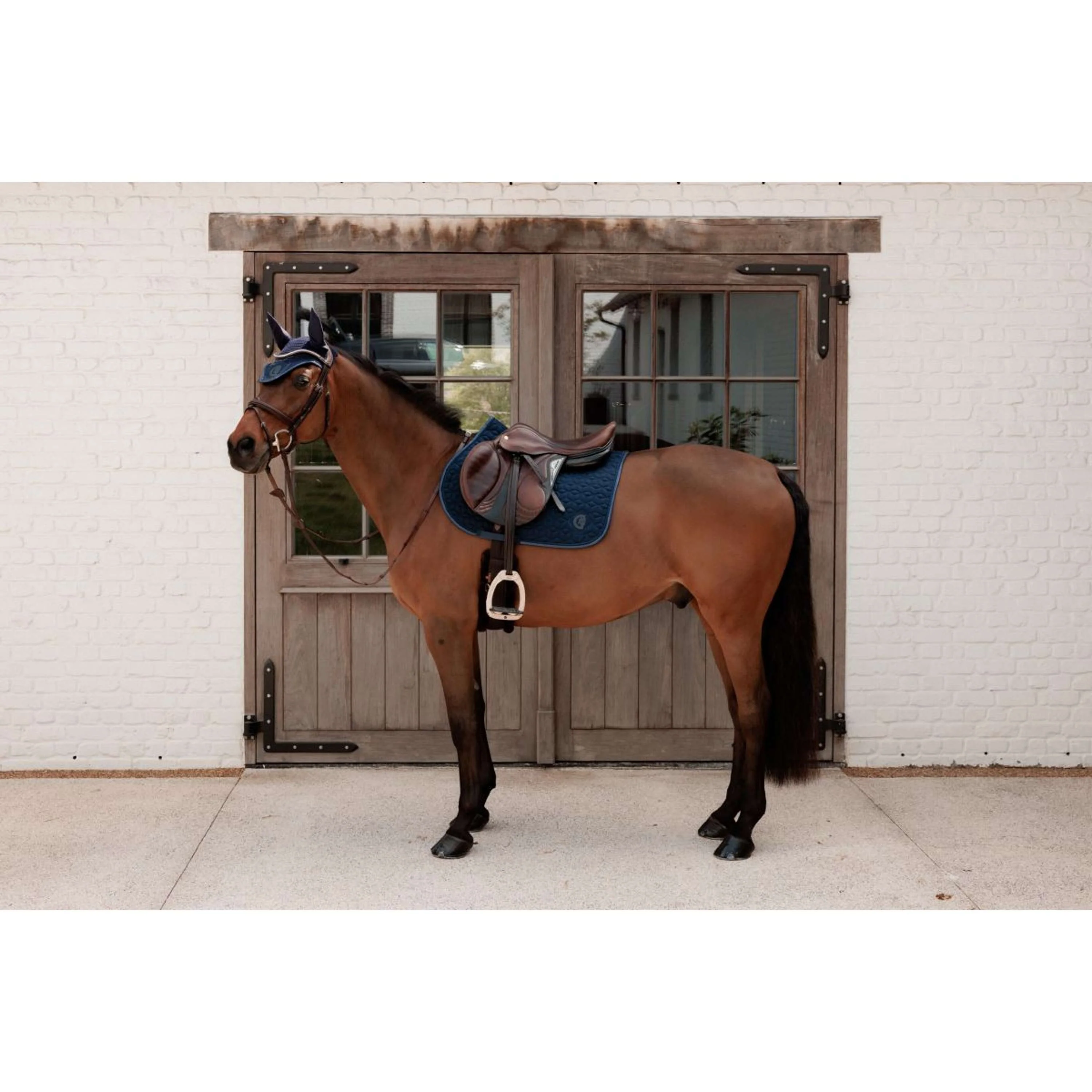 Kentucky Tapis de Selle Sparkling de Saut Marin - Image 2
