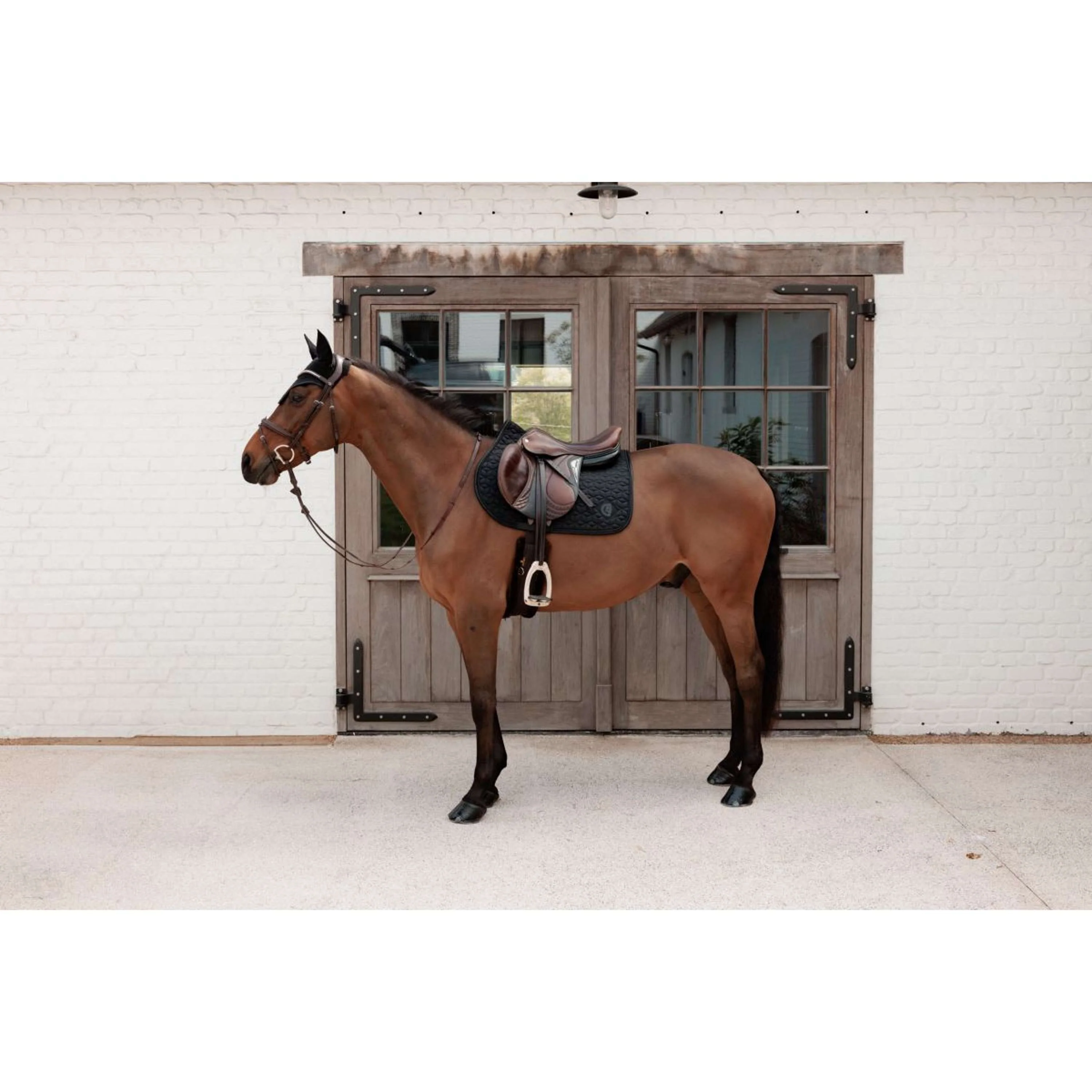 Kentucky Tapis de Selle Sparkling de Saut Noir - Image 2