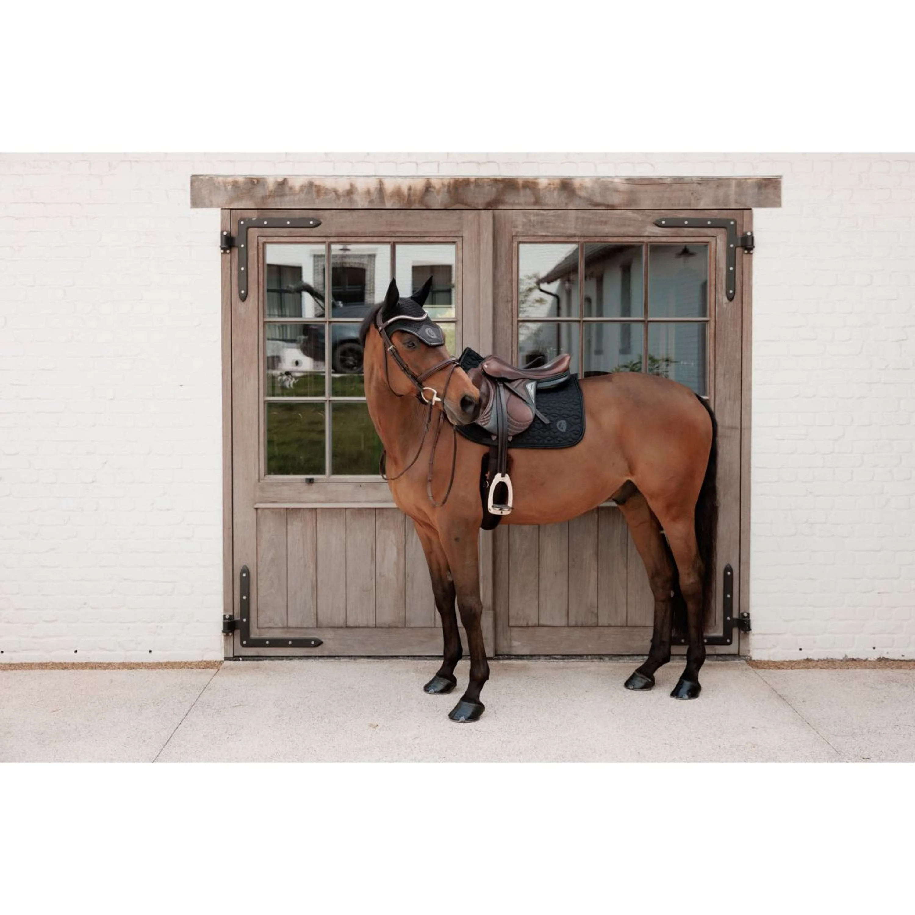 Kentucky Tapis de Selle Sparkling de Saut Noir - Image 8