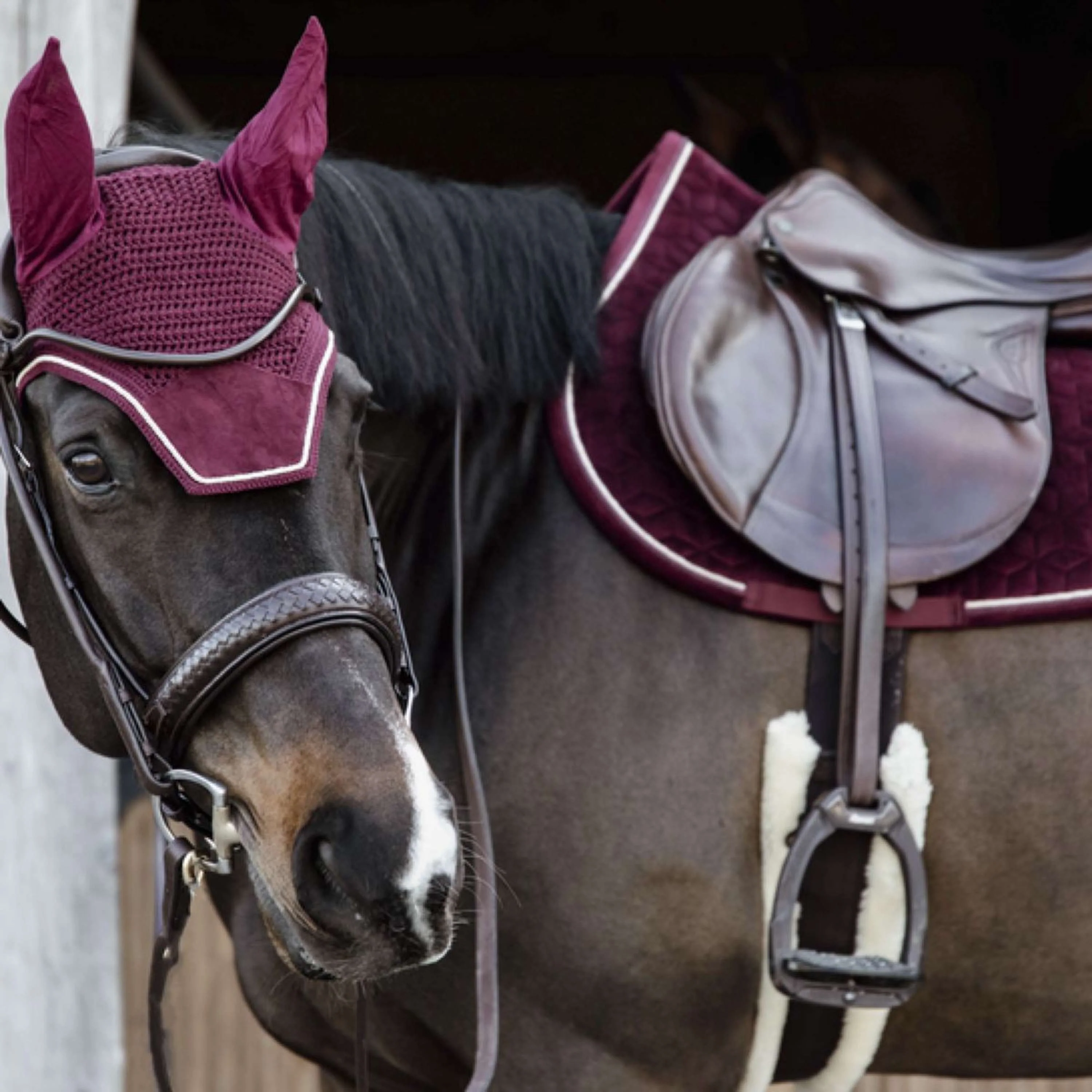 Kentucky Tapis de Selle Velvet Bordeaux - Image 3