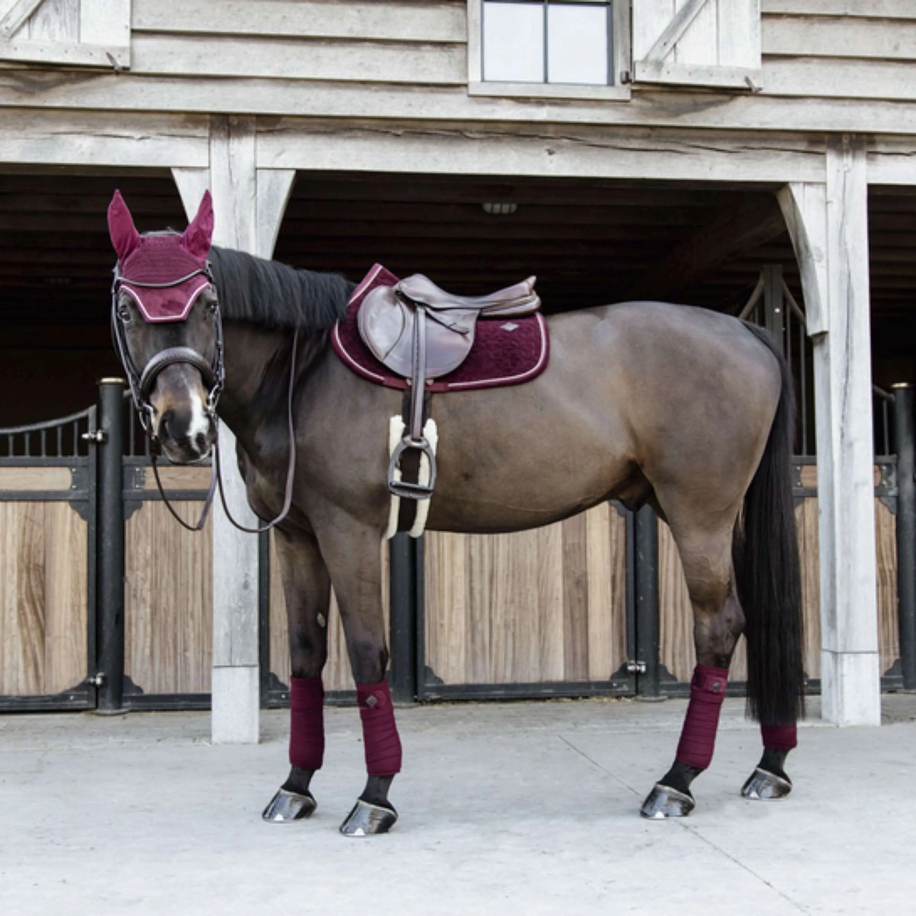 Kentucky Tapis de Selle Velvet Bordeaux - Image 5