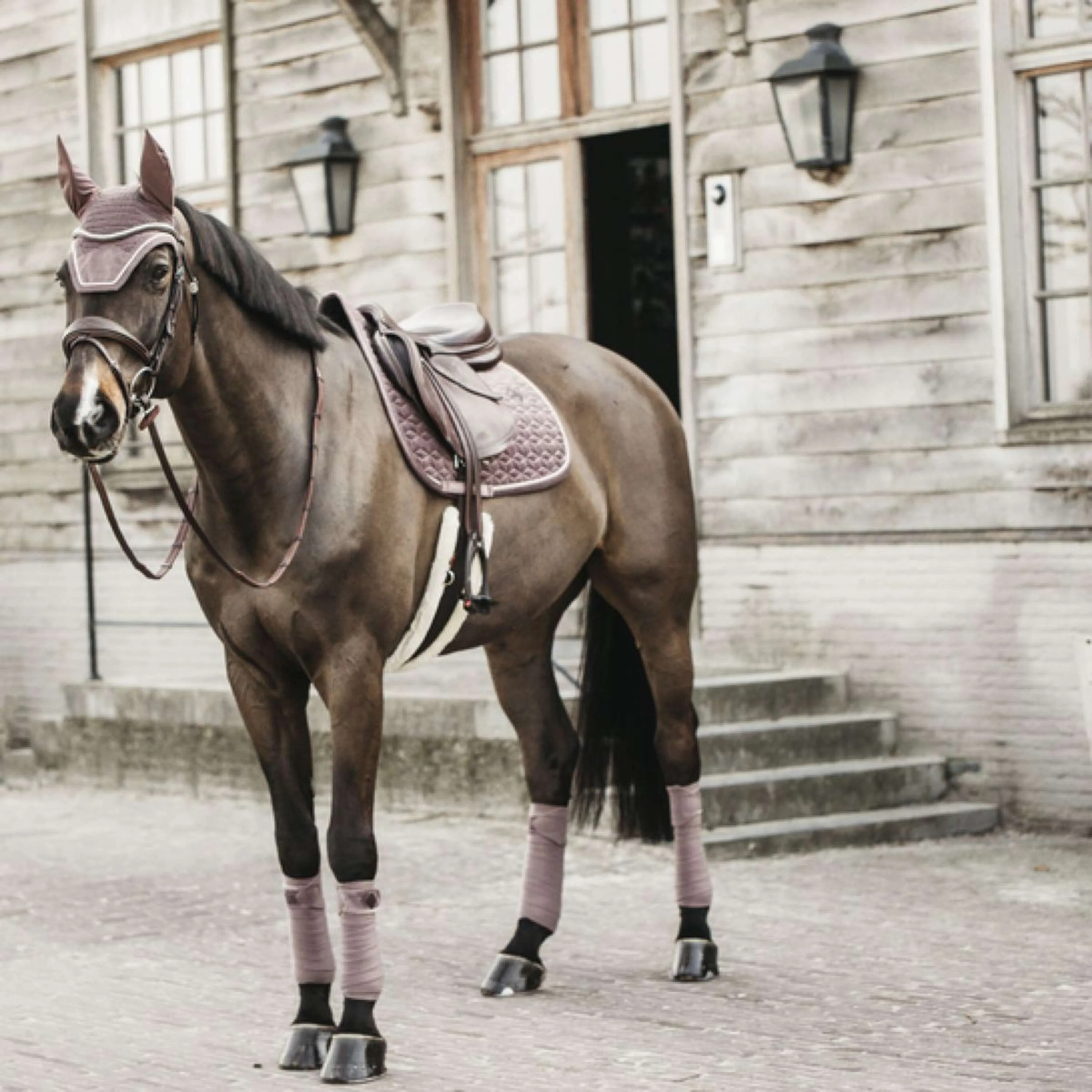 Kentucky Tapis de Selle Velvet de Saut Lilas - Image 5