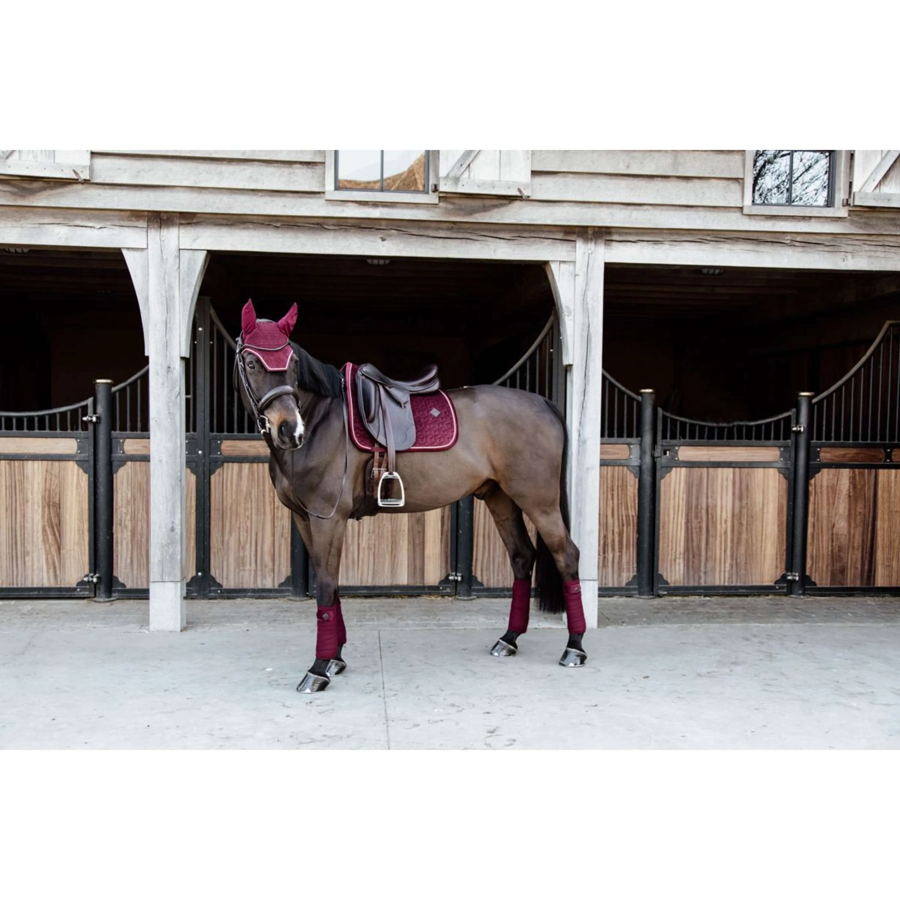 Kentucky Tapis de Selle Velvet Dressage Bordeaux - Image 6