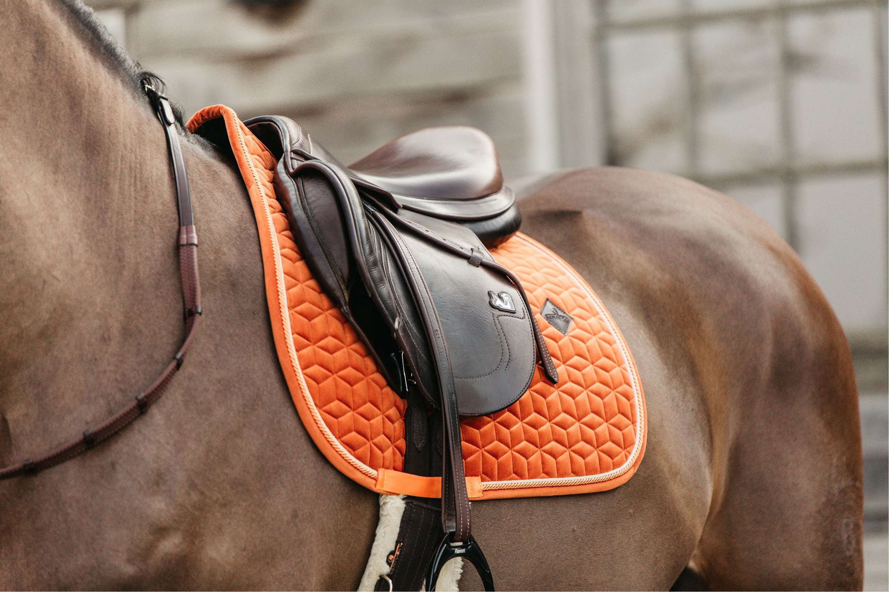 Kentucky Tapis de Selle Velvet Dressage Orange - Image 2