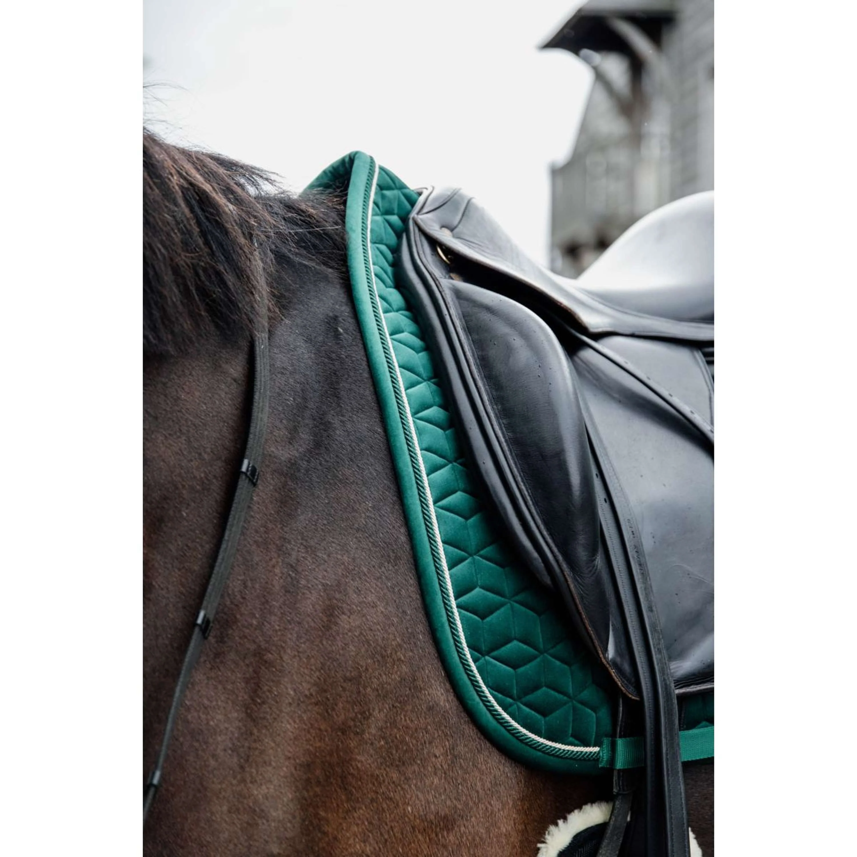 Kentucky Tapis de Selle Velvet Dressage Vert Foncé - Image 3