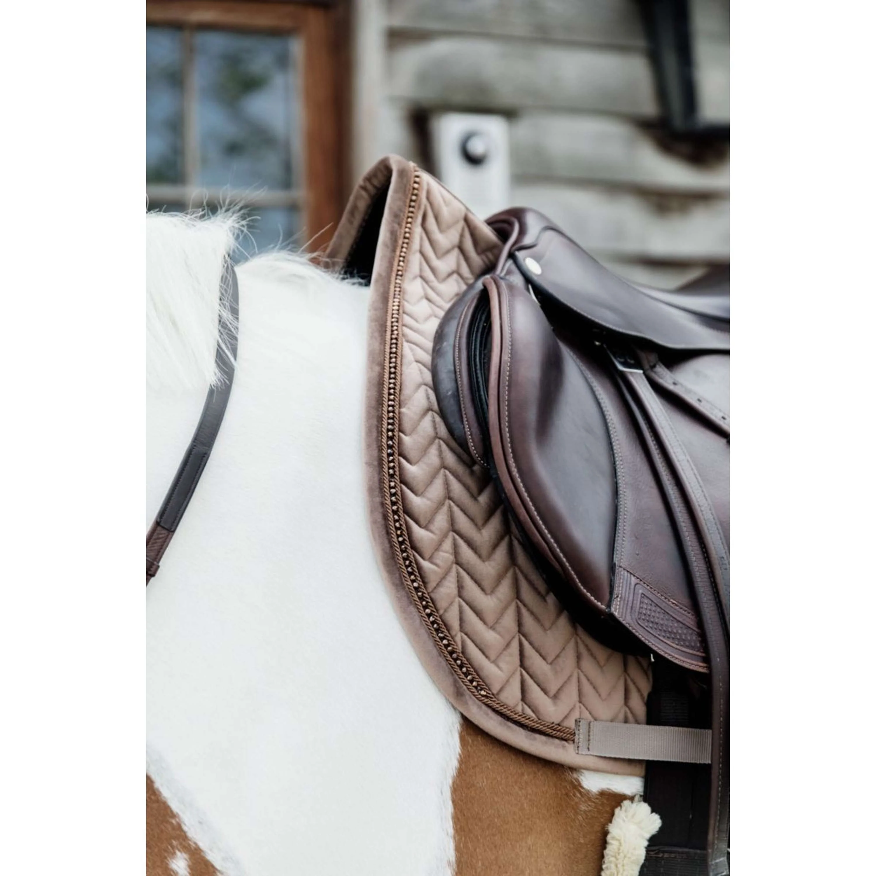 Kentucky Tapis de Selle velours Pearls de Saut Beige - Image 3