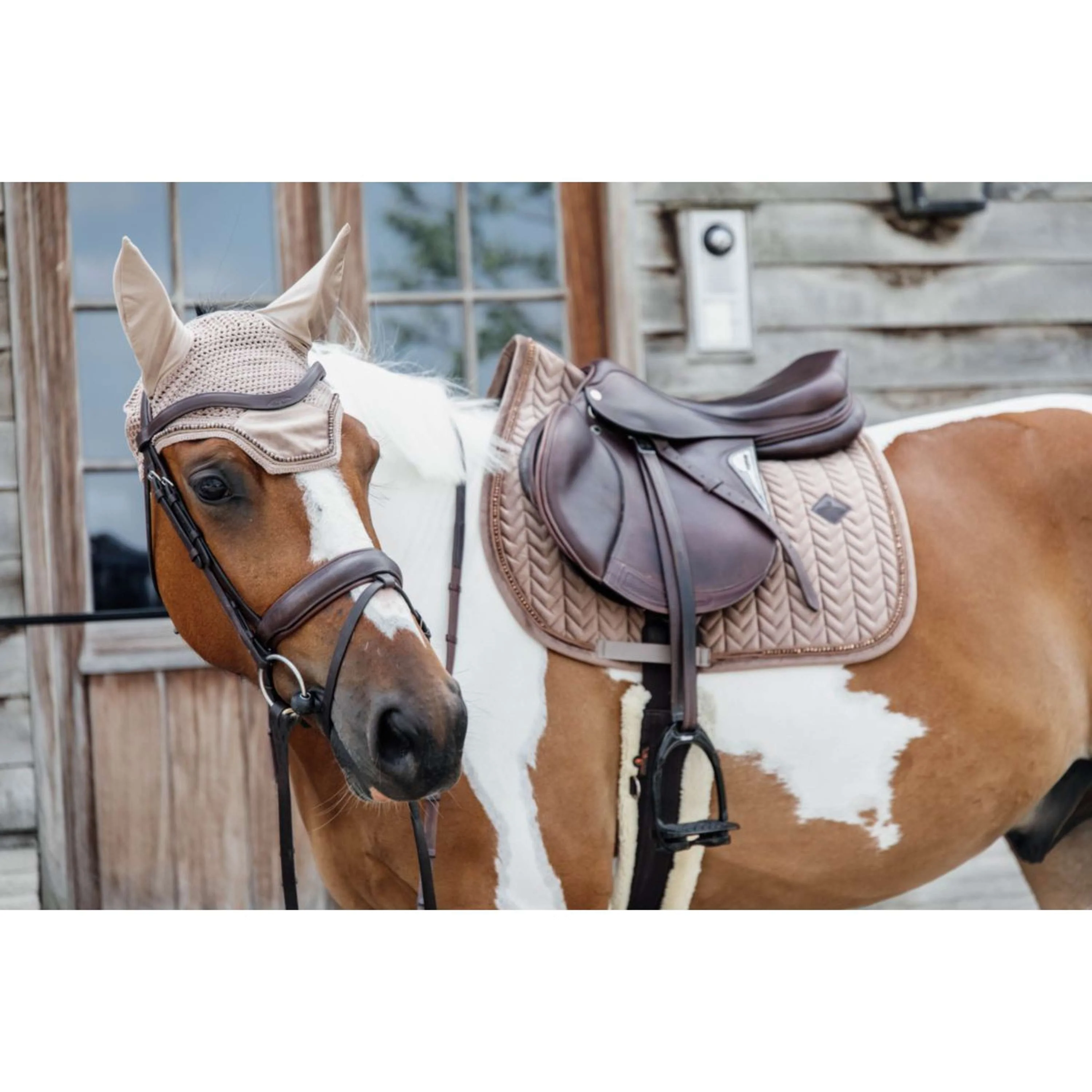 Kentucky Tapis de Selle velours Pearls de Saut Beige - Image 4