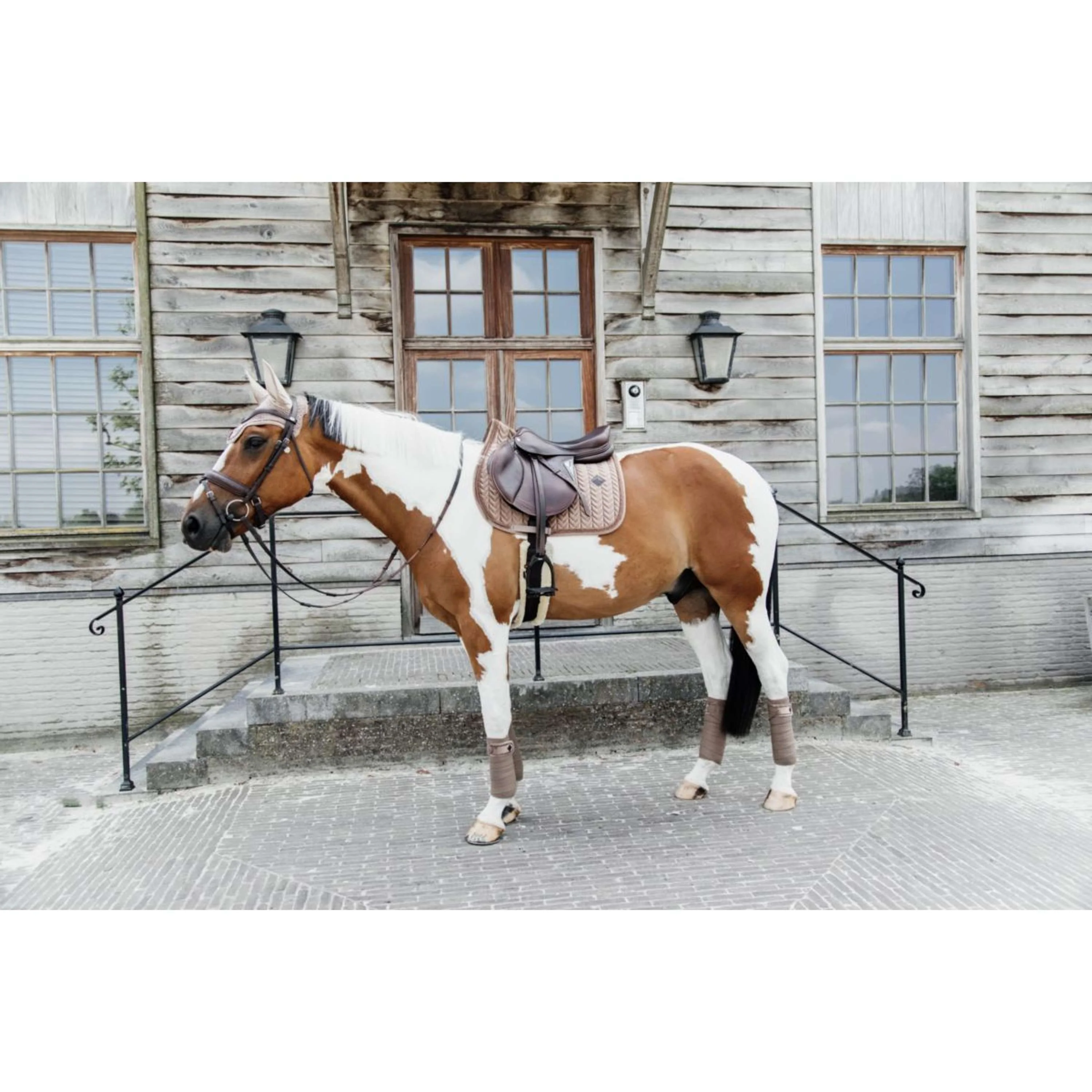 Kentucky Tapis de Selle velours Pearls de Saut Beige - Image 5