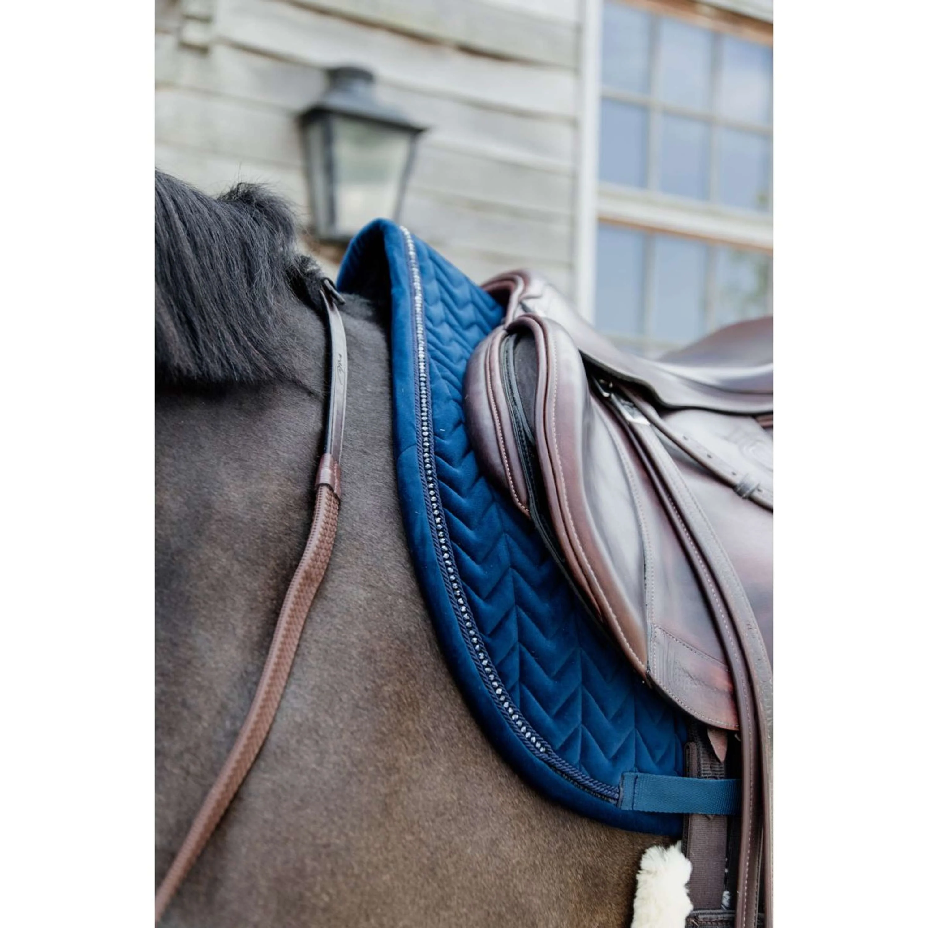Kentucky Tapis de Selle velours Pearls de Saut Marin - Image 4