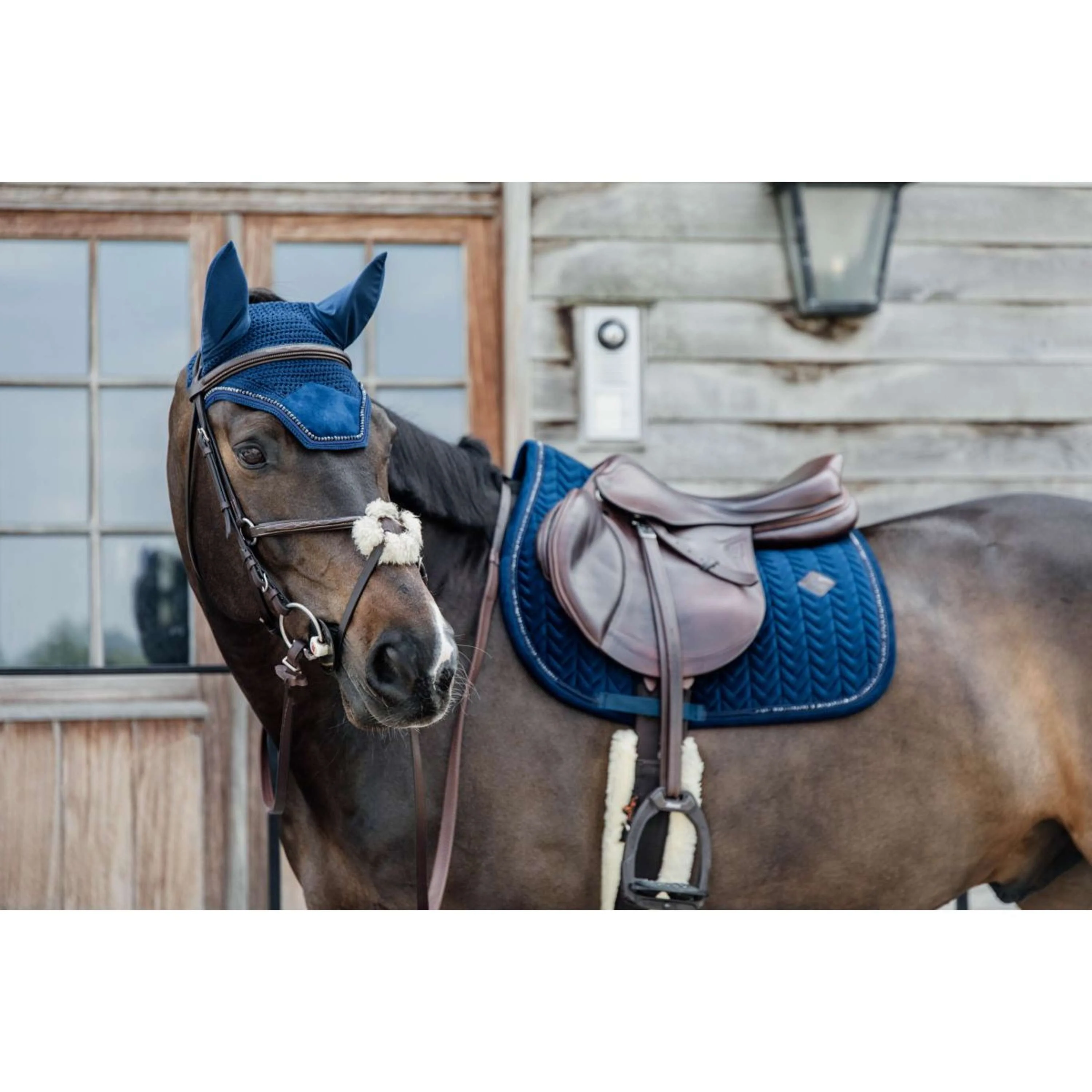Kentucky Tapis de Selle velours Pearls de Saut Marin - Image 5