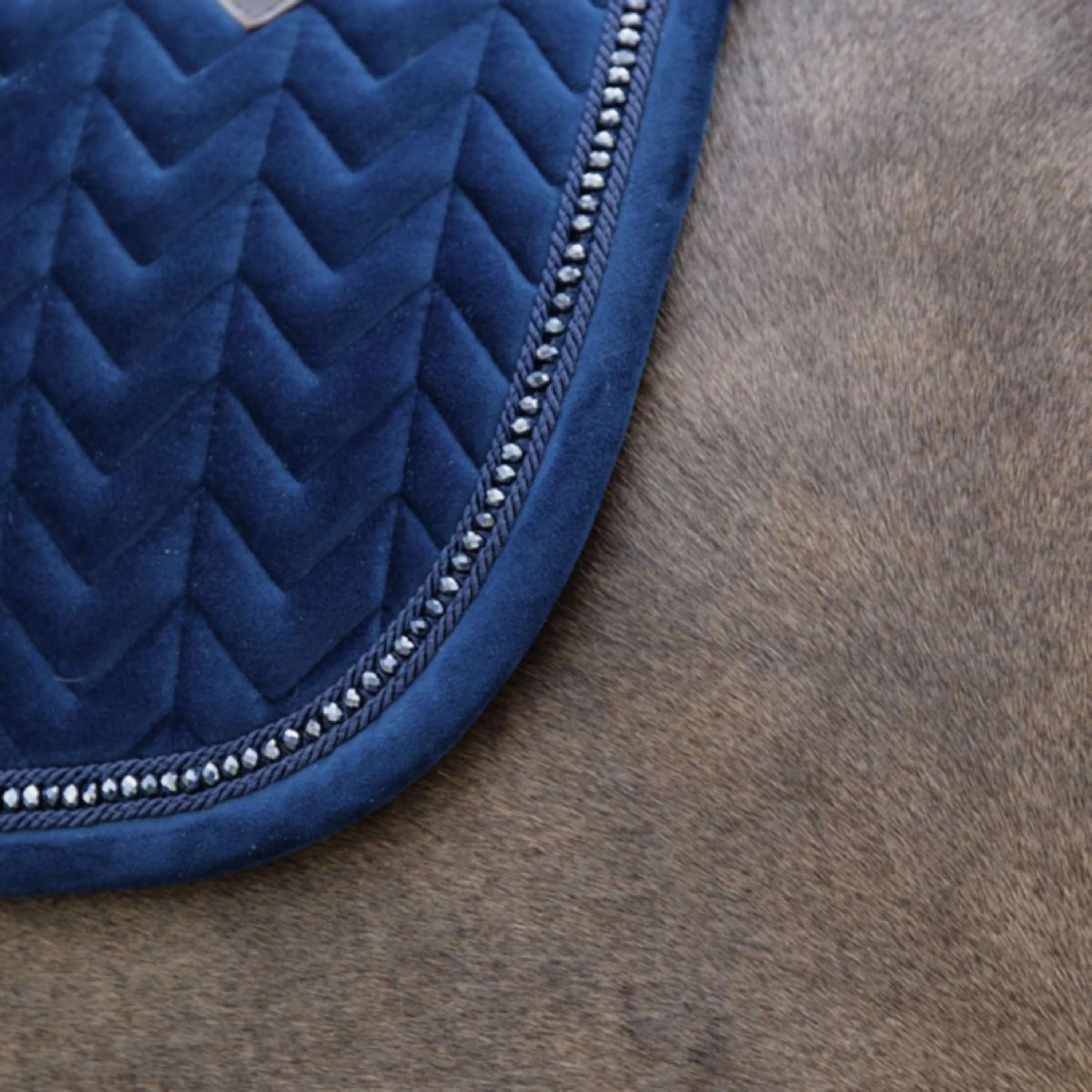 Kentucky Tapis de Selle velours Pearls de Saut Marin - Image 6