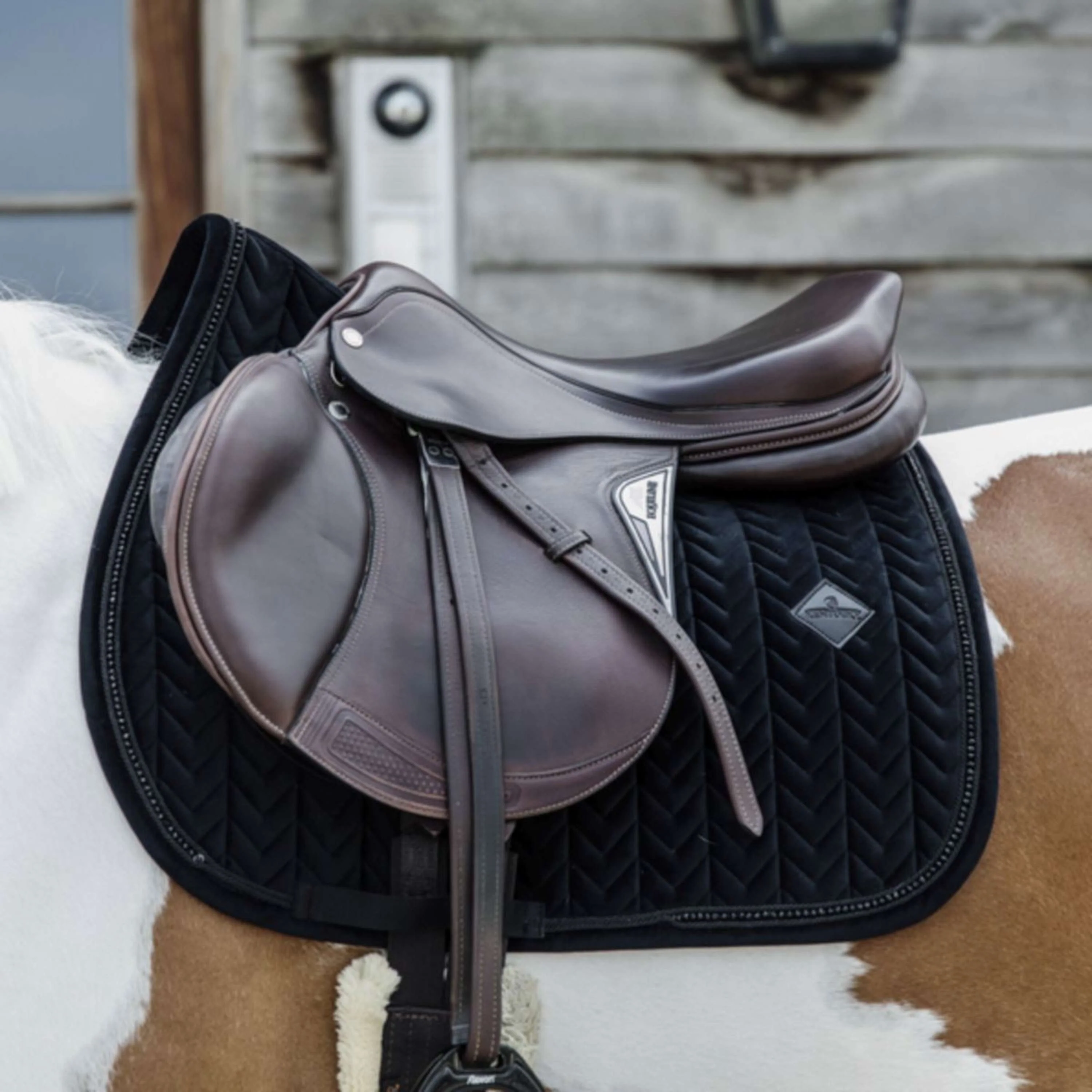 Kentucky Tapis de Selle velours Pearls de Saut Noir - Image 2