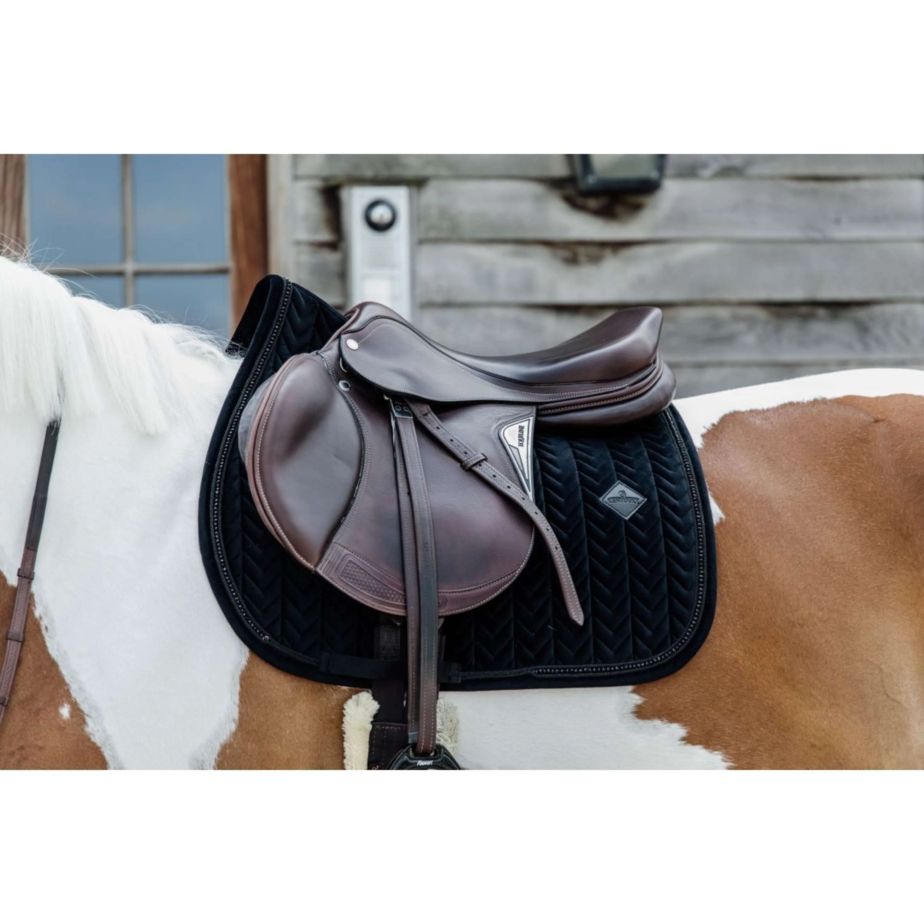Kentucky Tapis de Selle velours Pearls de Saut Noir - Image 3