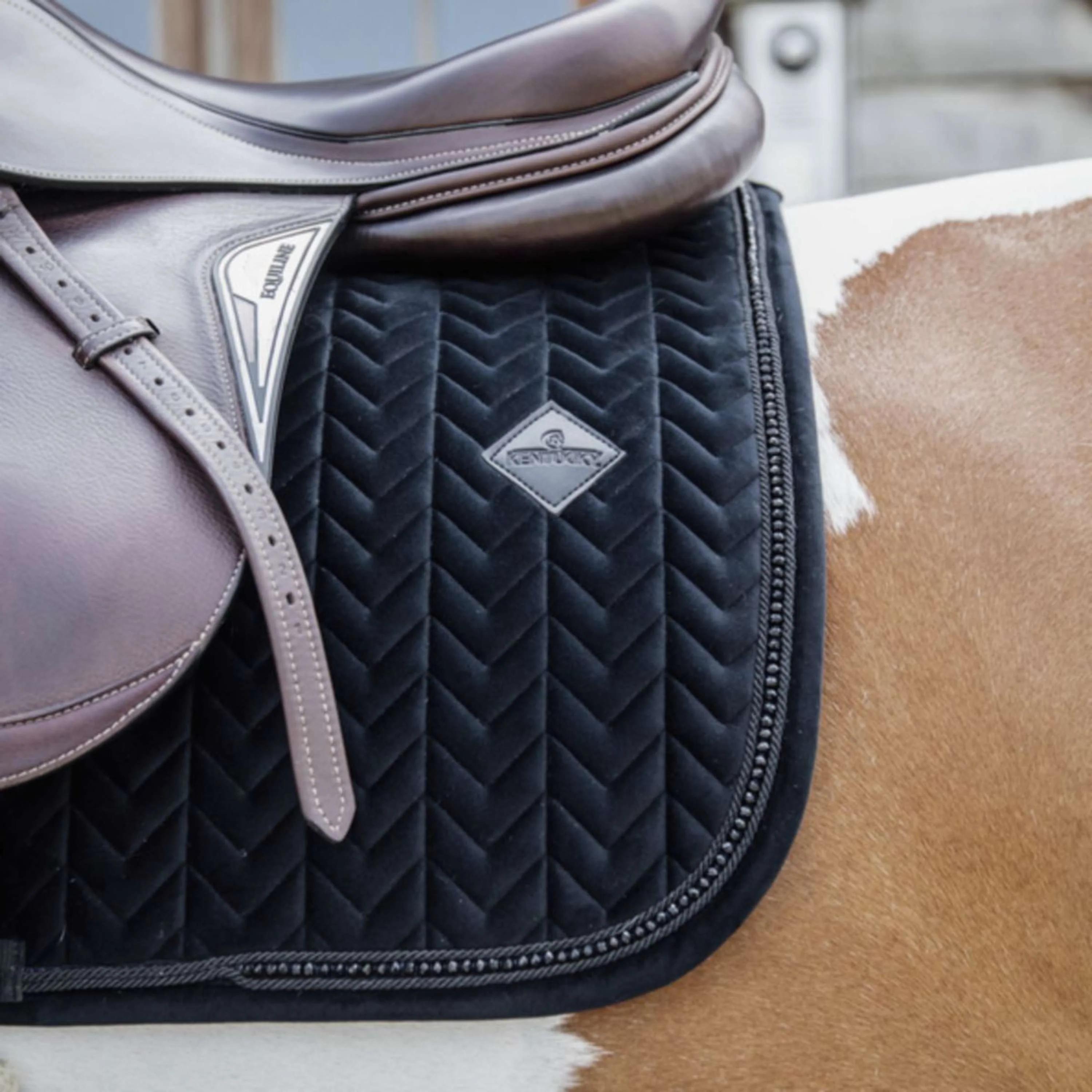 Kentucky Tapis de Selle velours Pearls de Saut Noir - Image 5