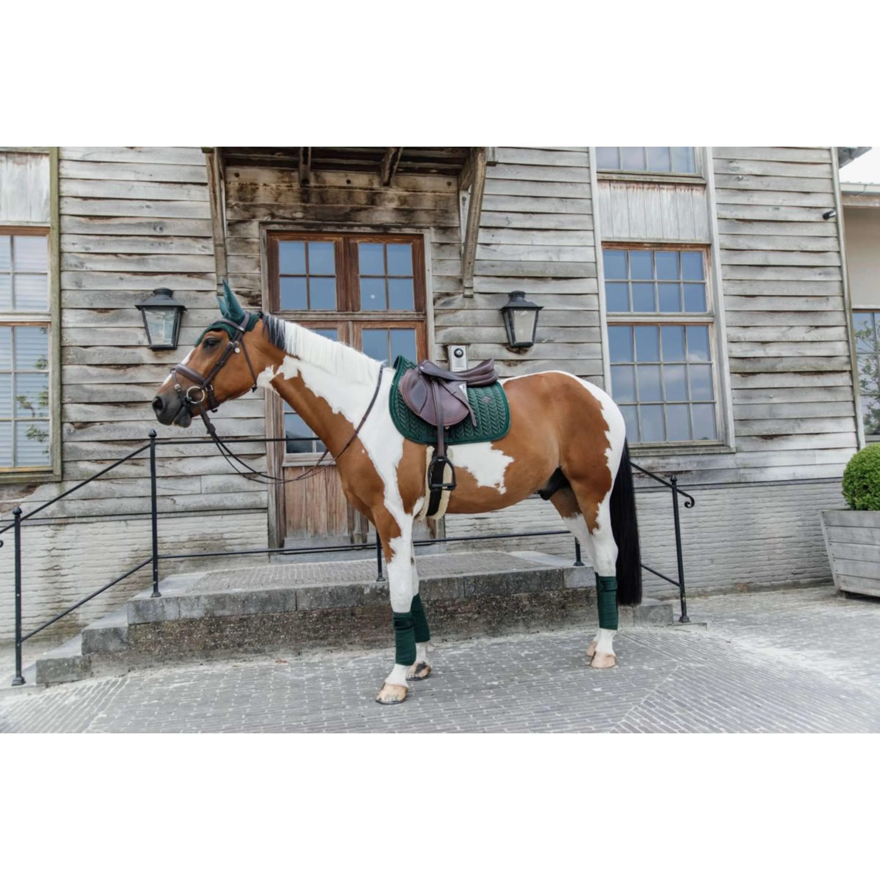 Kentucky Tapis de Selle velours Pearls de Saut Pine Green - Image 6