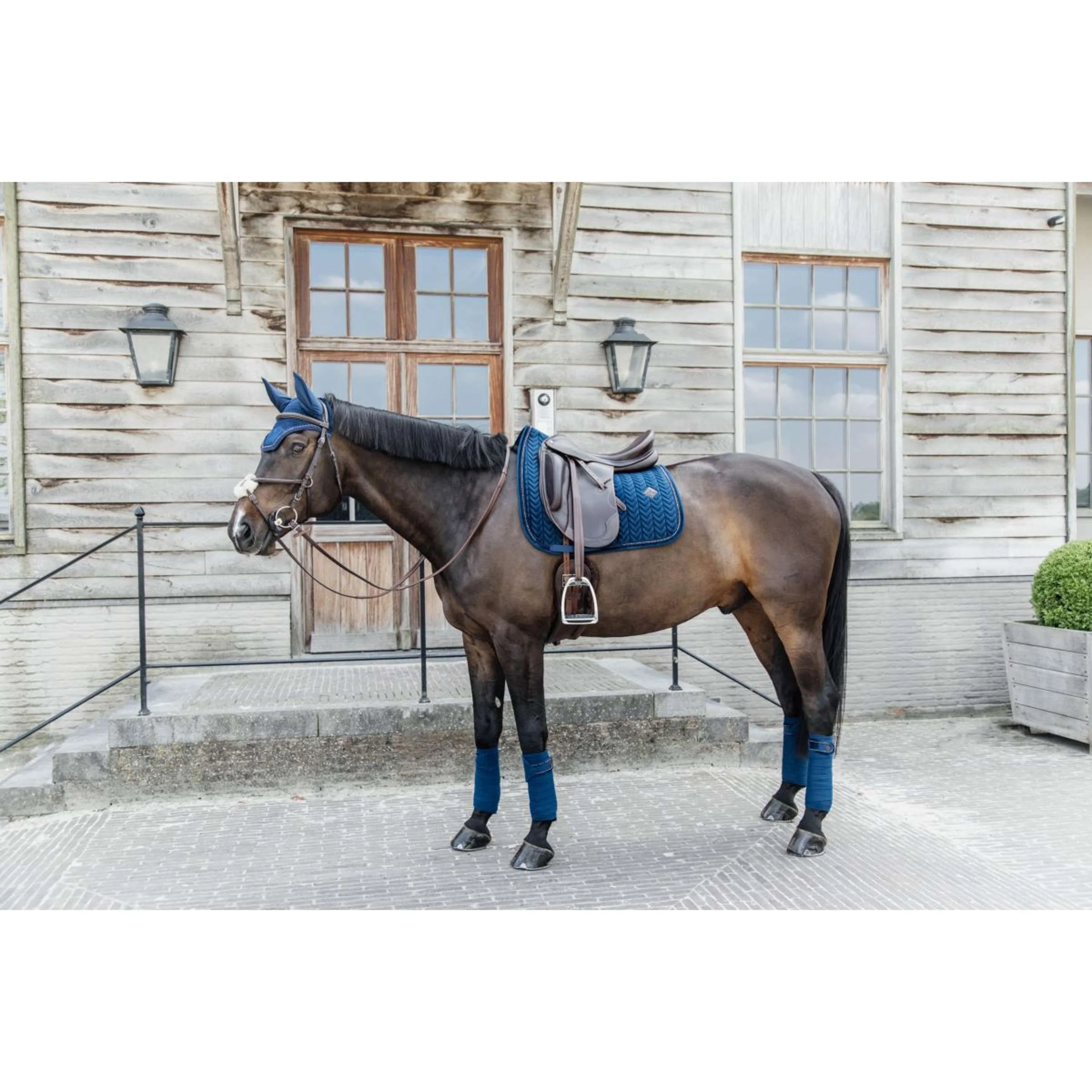 Kentucky Tapis de Selle velours Pearls Dressage Marin - Image 4