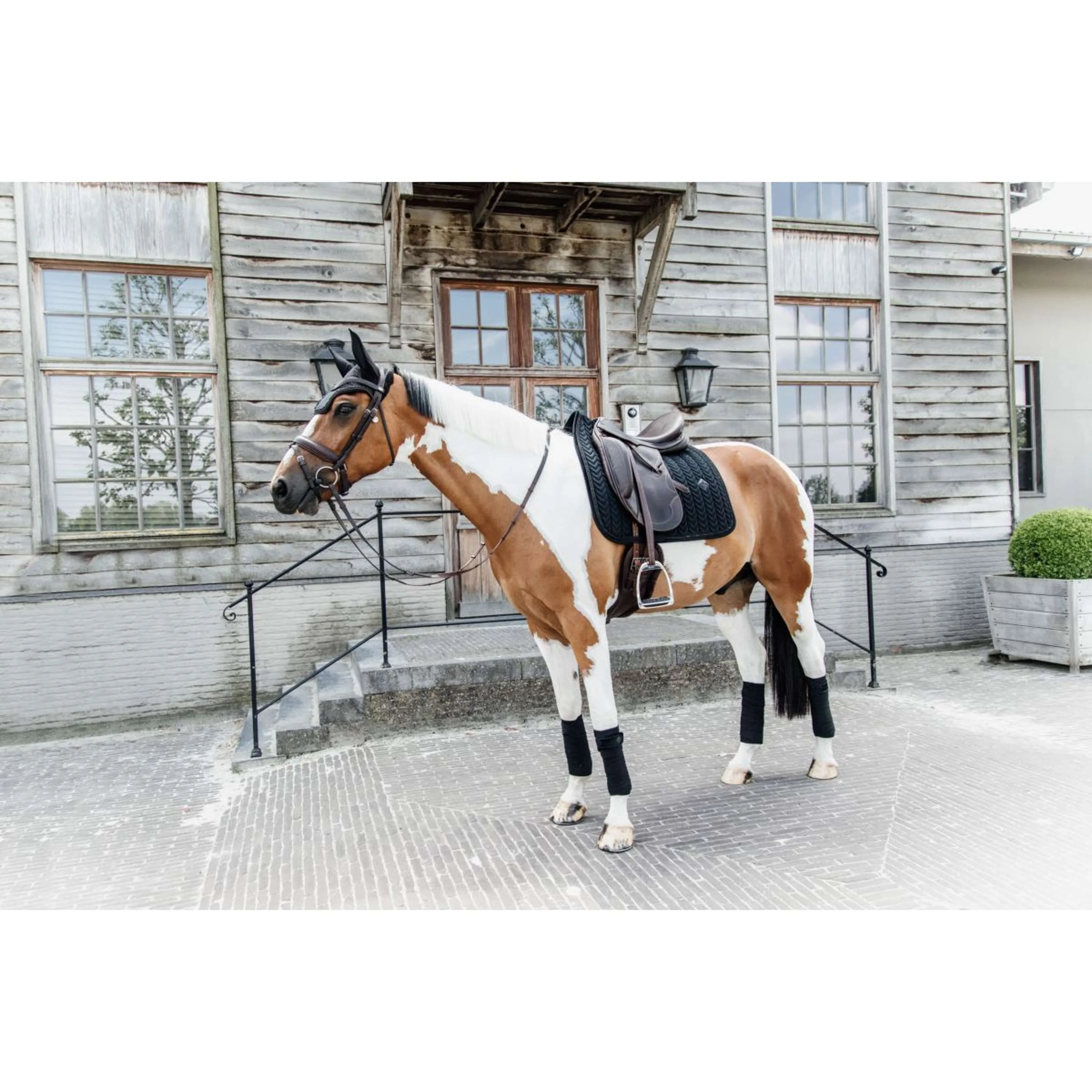Kentucky Tapis de Selle velours Pearls Dressage Noir - Image 4