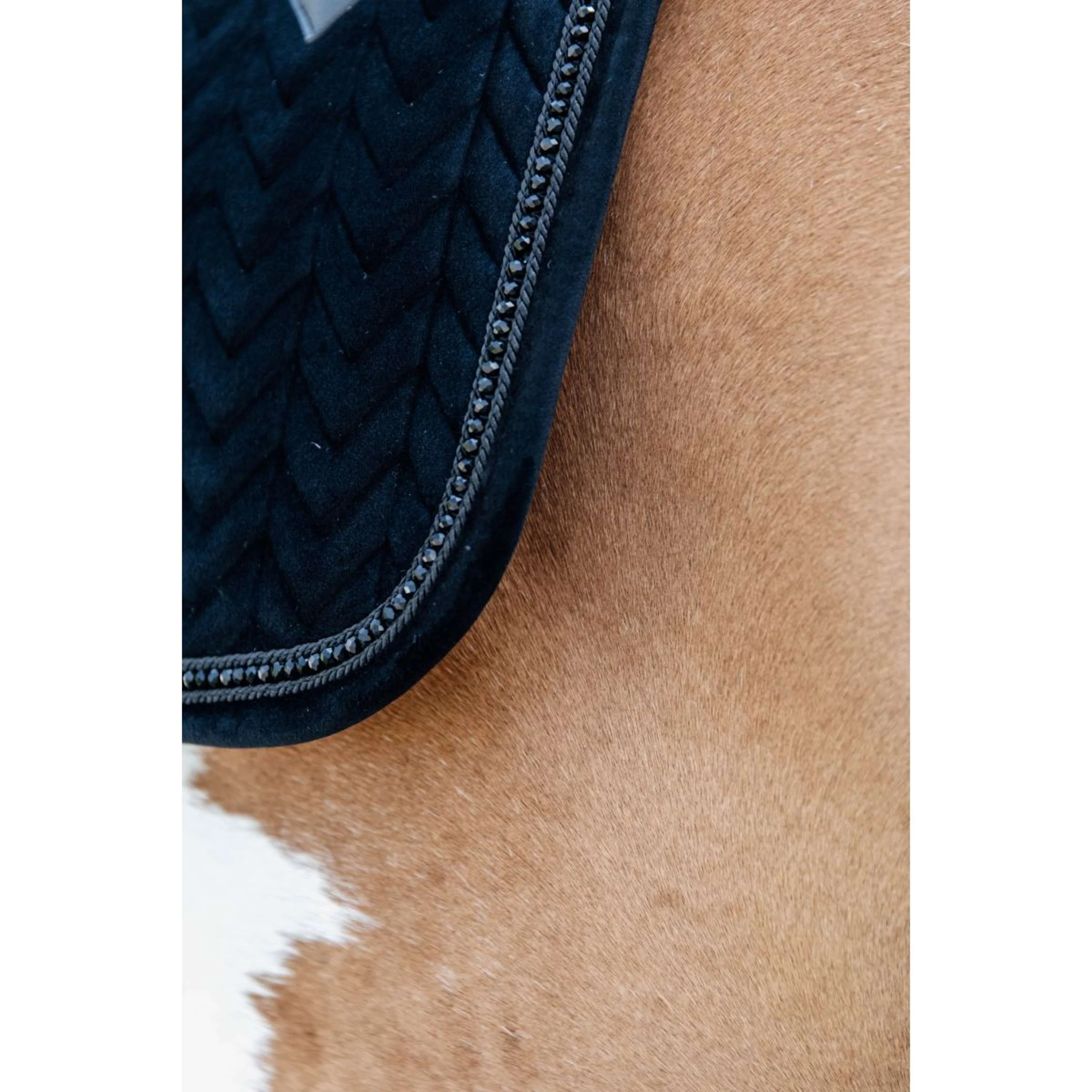 Kentucky Tapis de Selle velours Pearls Dressage Noir - Image 8