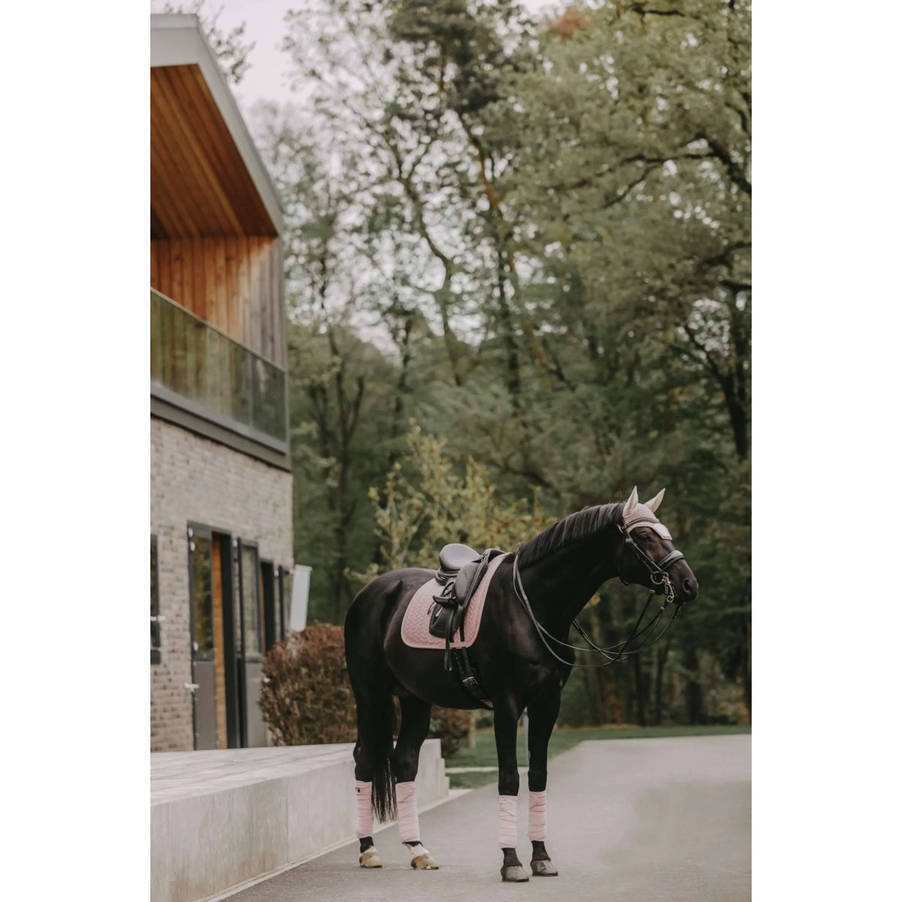 Kentucky Tapis de Selle velours Pearls Dressage Soft Rose - Image 2