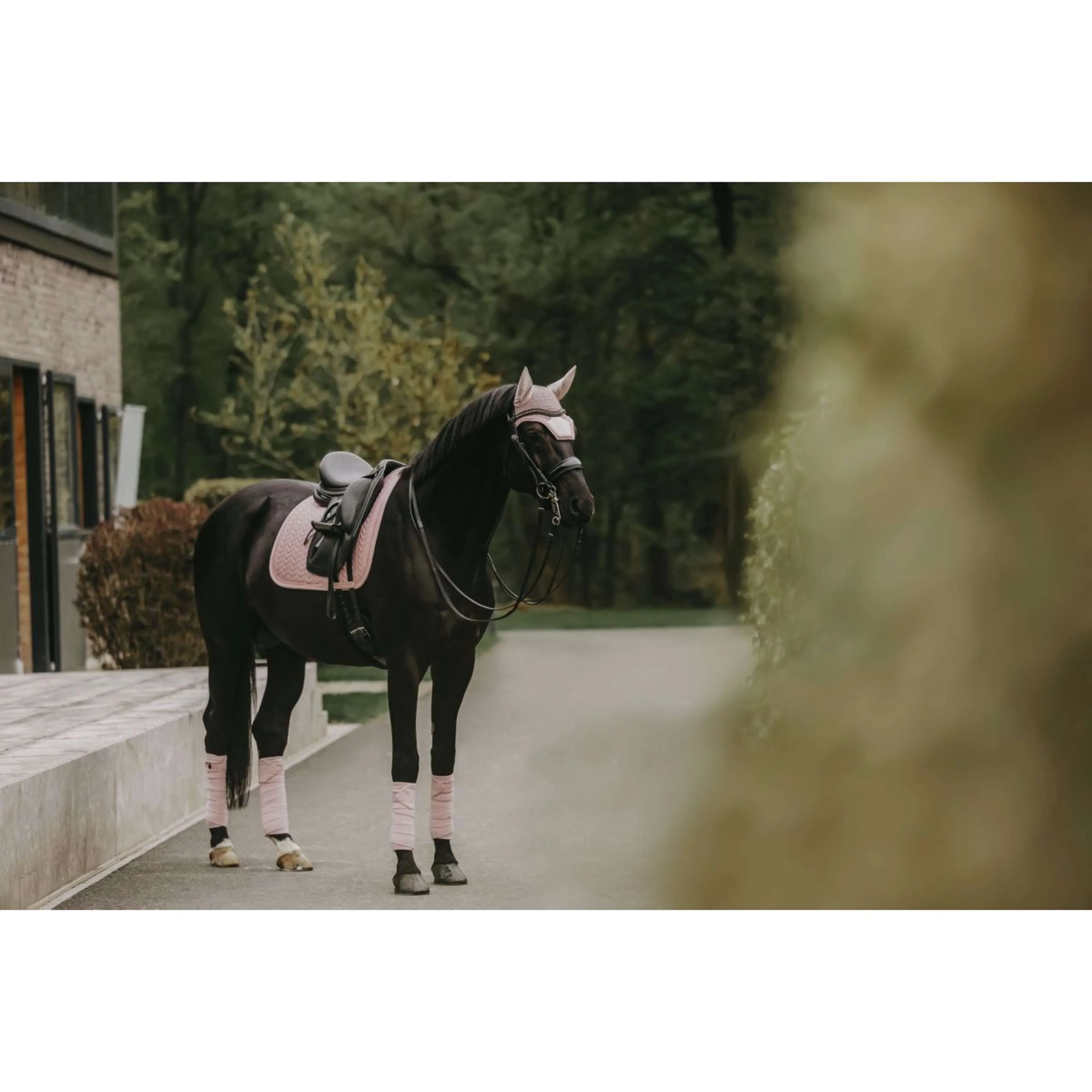 Kentucky Tapis de Selle velours Pearls Dressage Soft Rose - Image 3