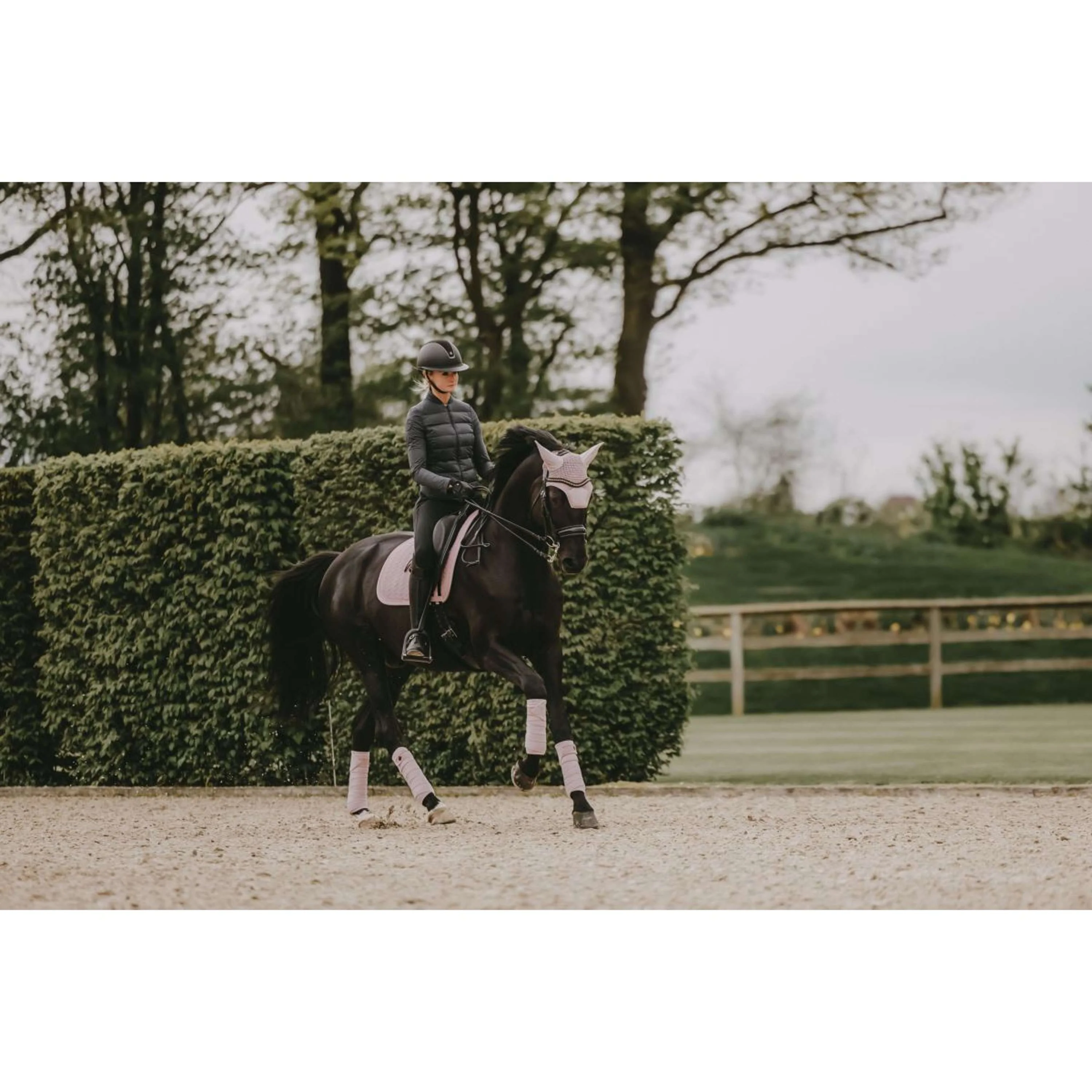 Kentucky Tapis de Selle velours Pearls Dressage Soft Rose - Image 4