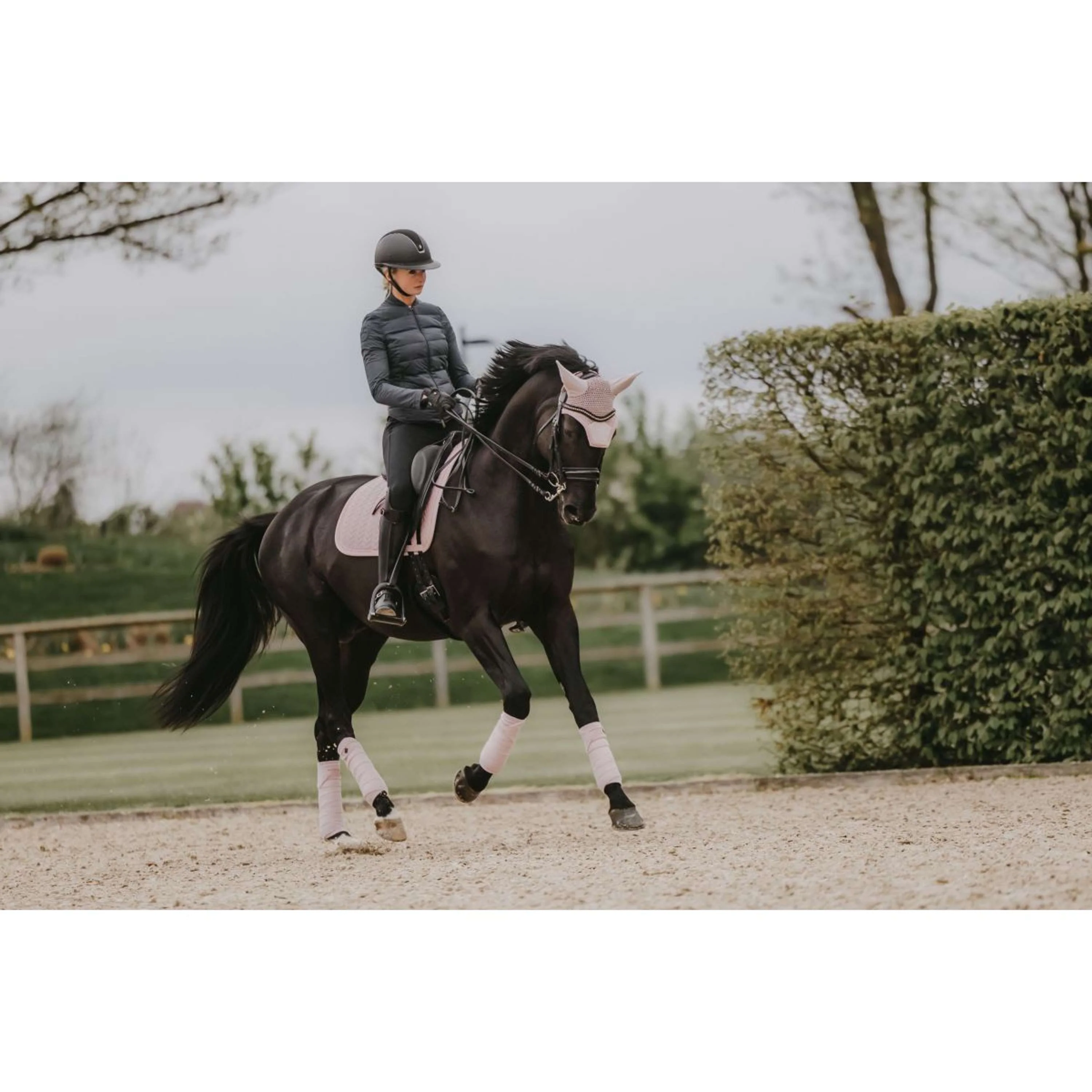 Kentucky Tapis de Selle velours Pearls Dressage Soft Rose - Image 5