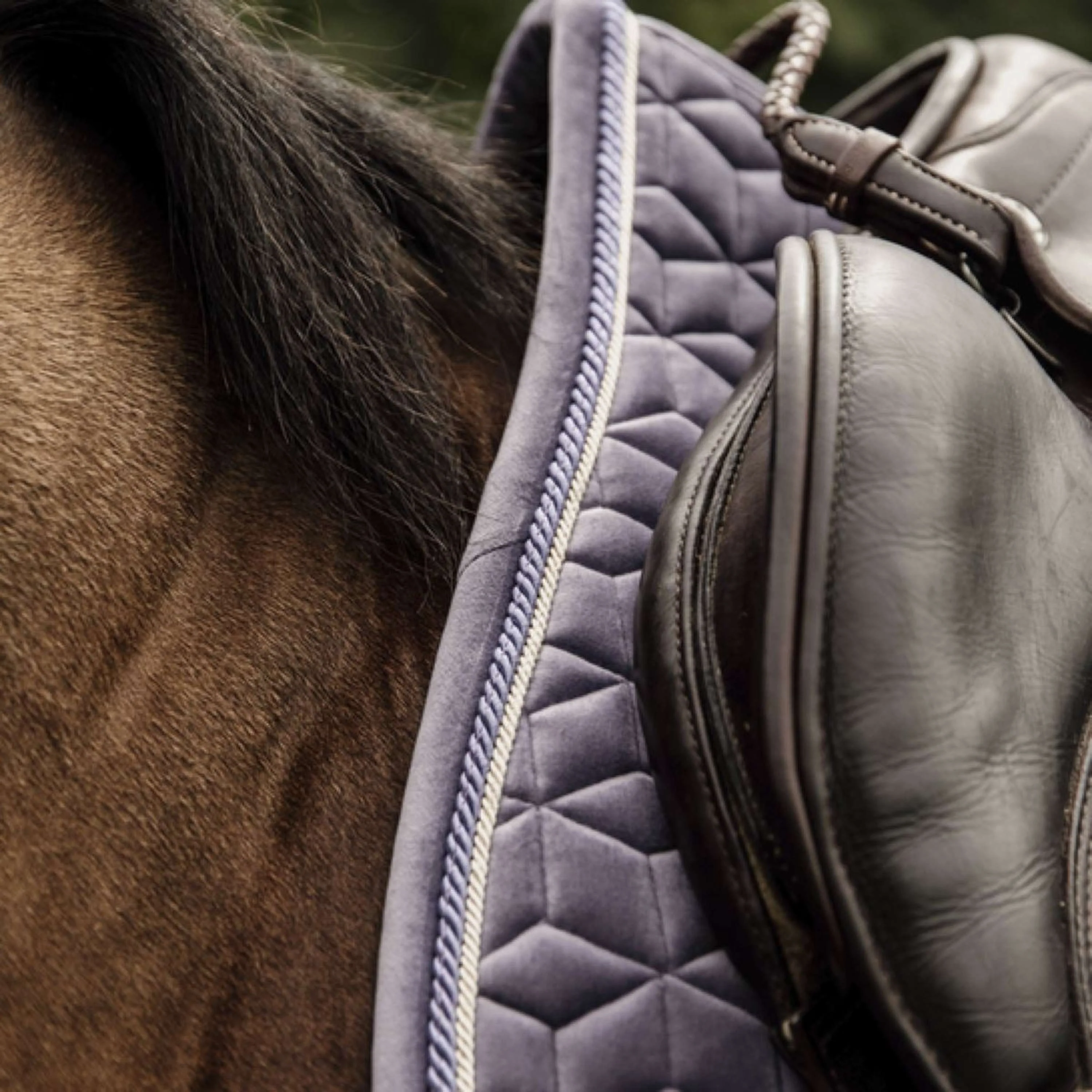 Kentucky Tapis de Selle Velvet de Saut Purper - Image 2