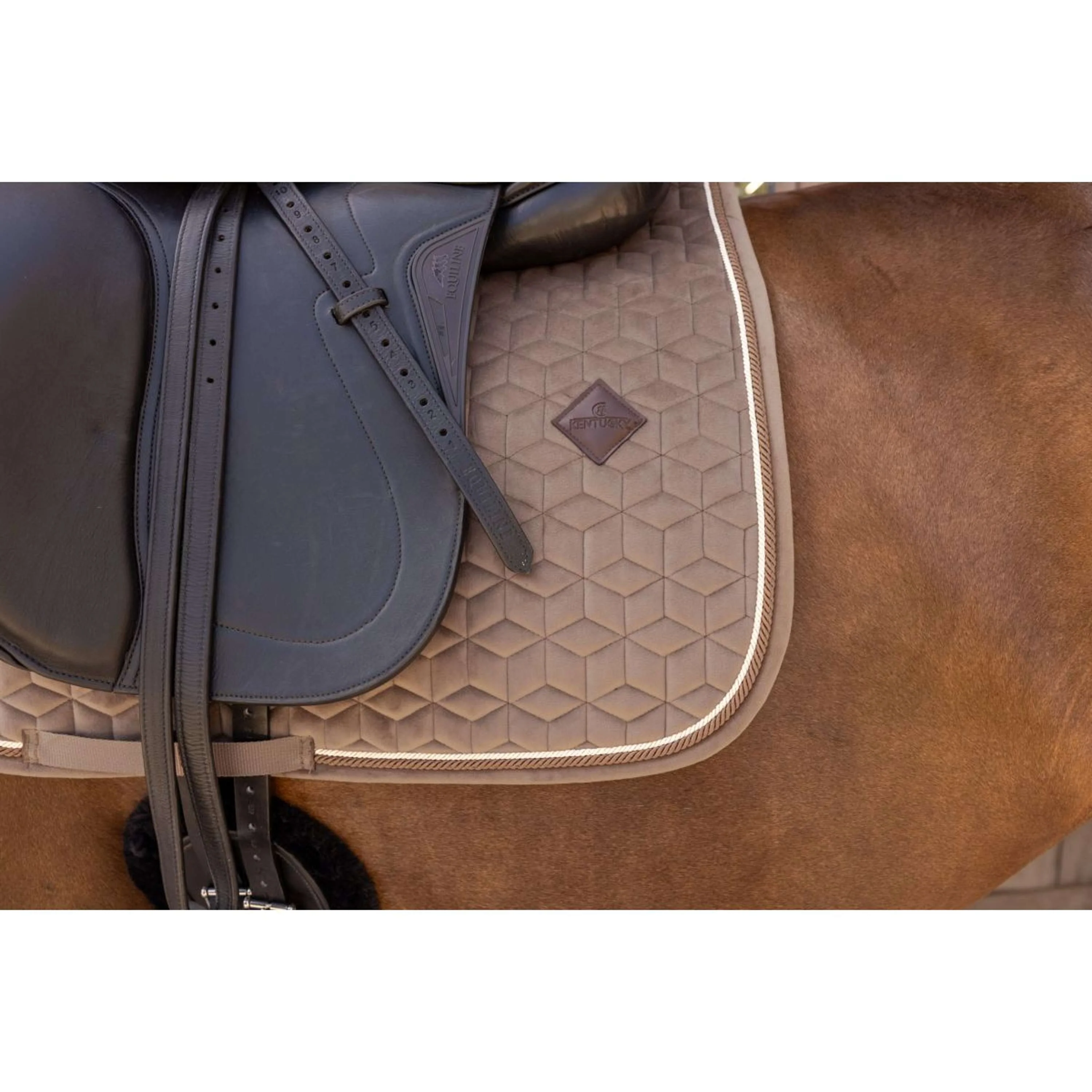 Kentucky Tapis de Selle Velvet Dressage Beige - Image 3