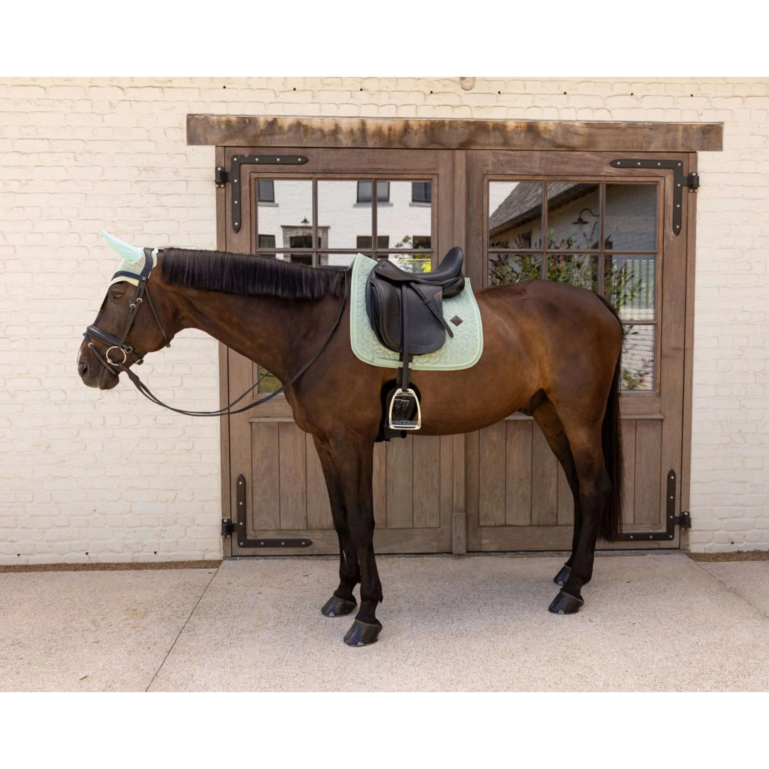 Kentucky Tapis de Selle Velvet Dressage Menthe - Image 2