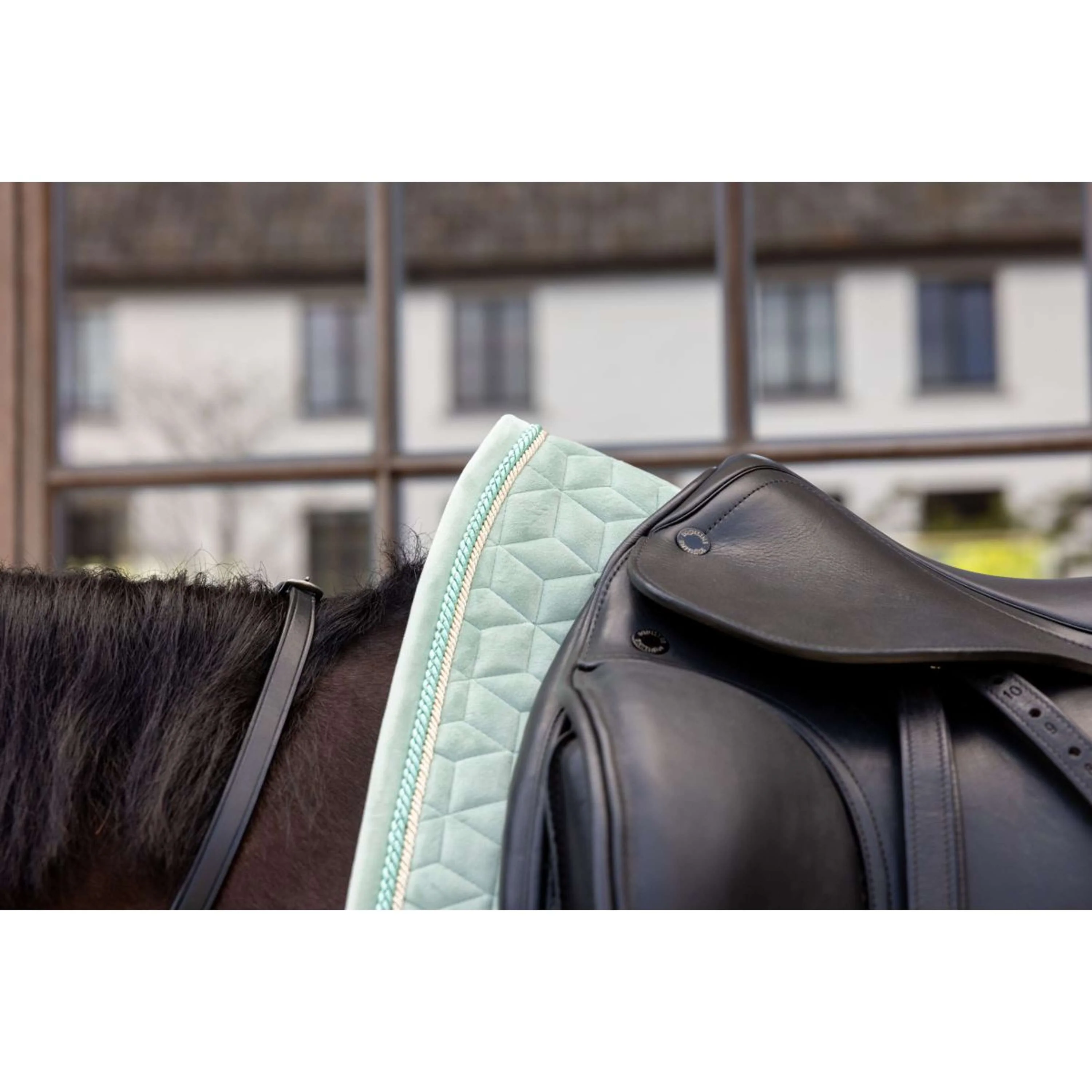 Kentucky Tapis de Selle Velvet Dressage Menthe - Image 5