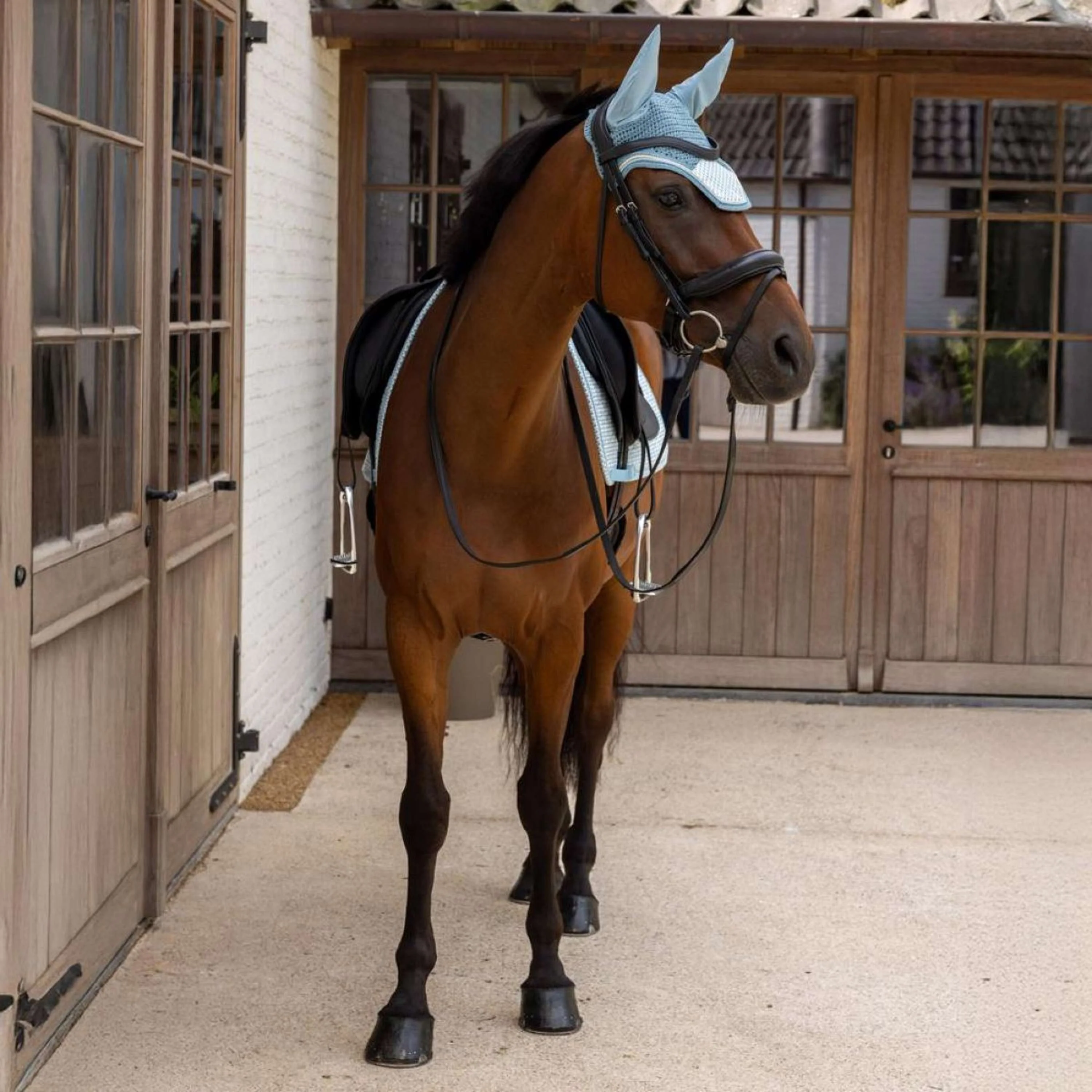 Kentucky Tapis de Selle Velvet Flags Dressage Bleu clair - Image 4