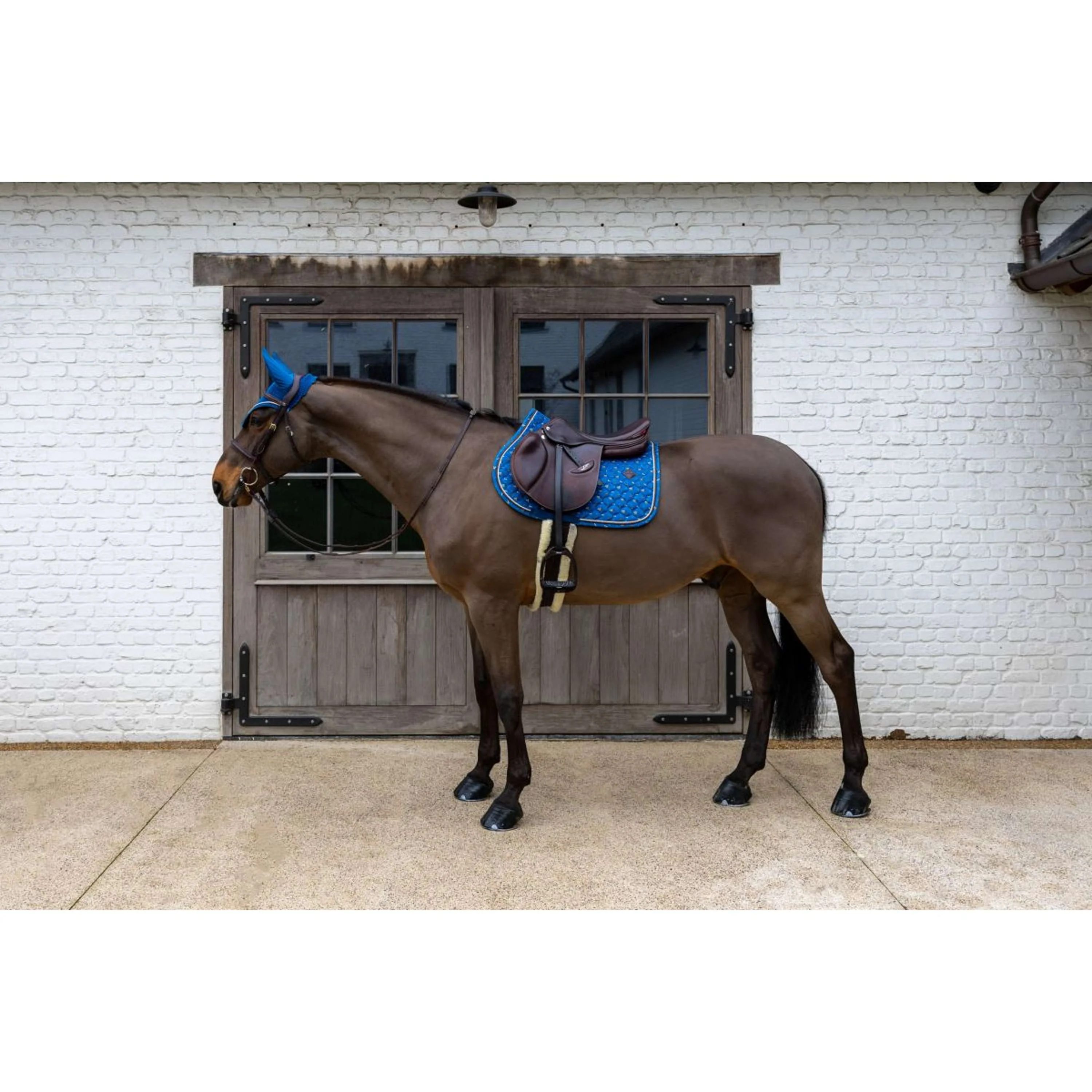 Kentucky Tapis de Selle Velvet Horse Printing de Saut Marin - Image 4