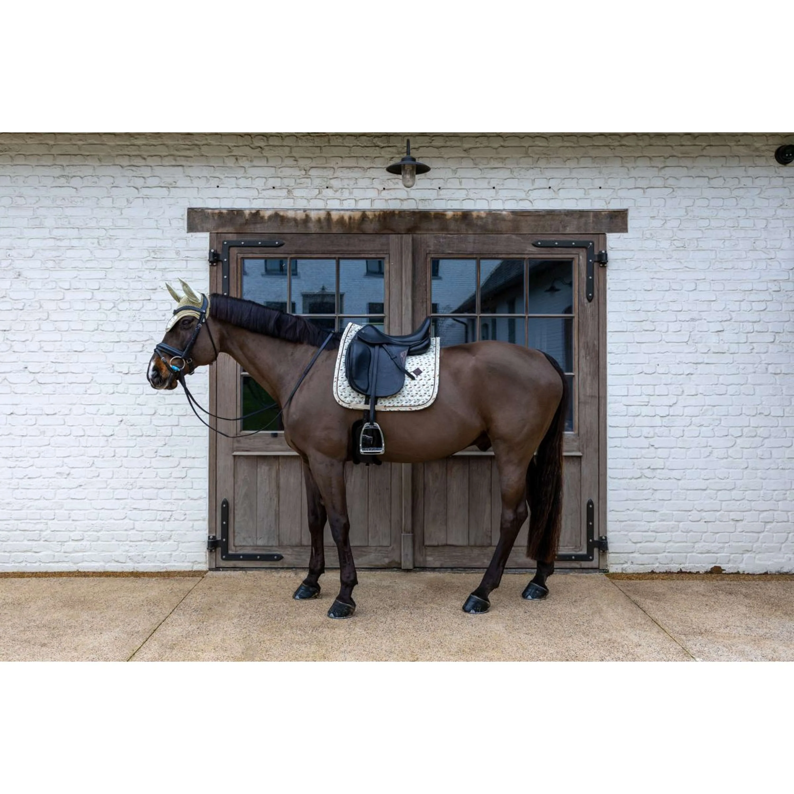 Kentucky Tapis de Selle Velvet Horse Printing Dressage Beige - Image 3