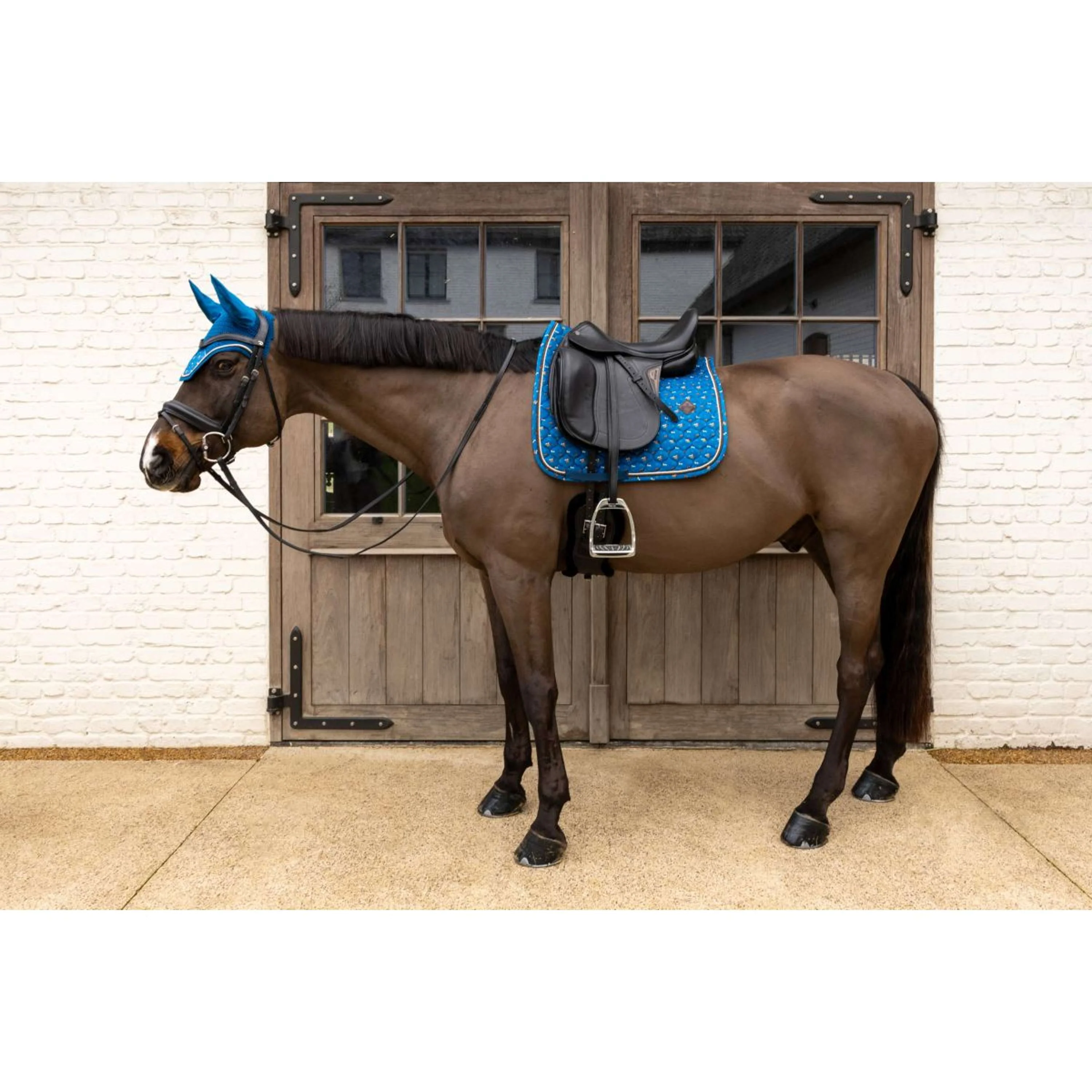 Kentucky Tapis de Selle Velvet Horse Printing Dressage Marin - Image 3