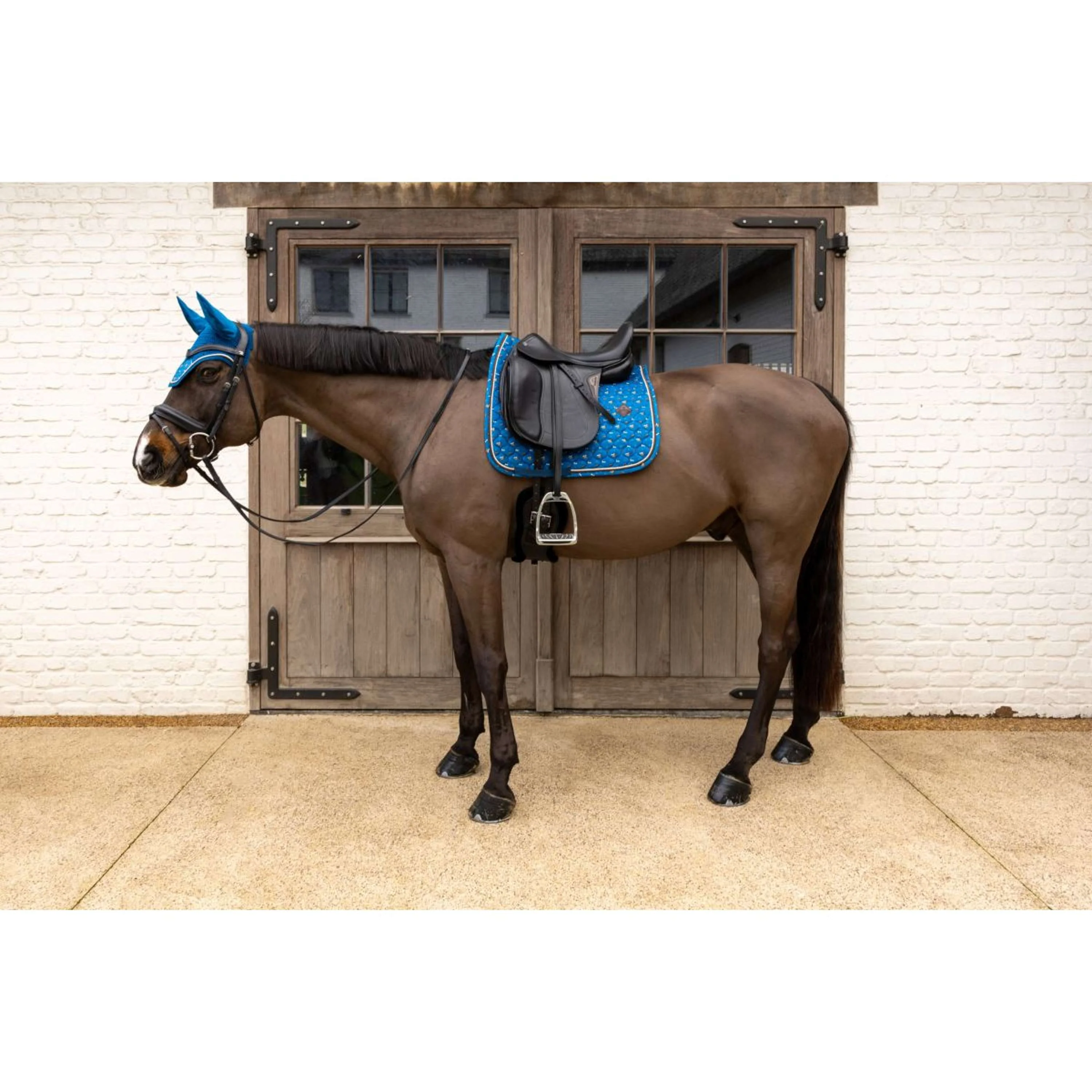 Kentucky Tapis de Selle Velvet Horse Printing Dressage Marin - Image 4