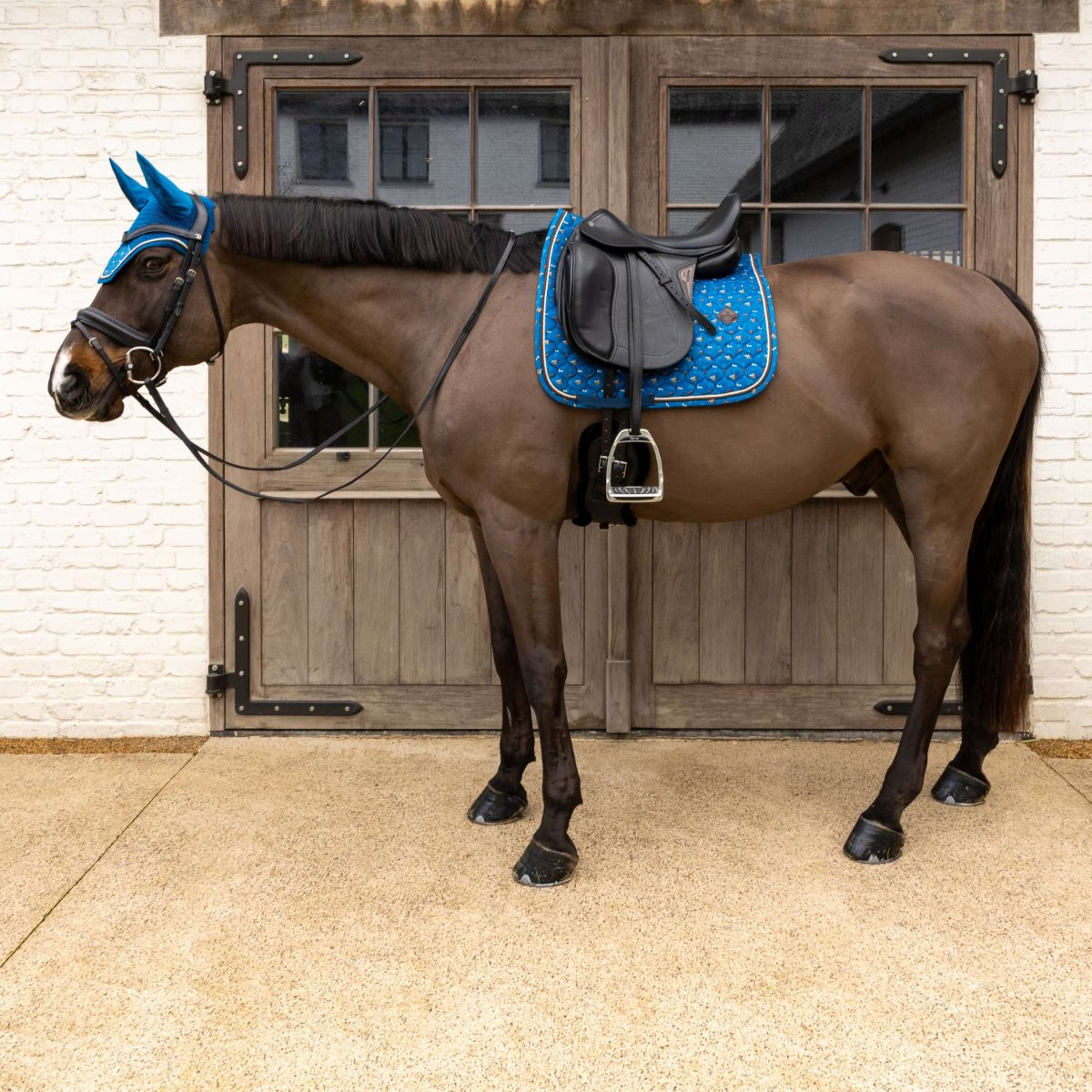 Kentucky Tapis de Selle Velvet Horse Printing Dressage Marin - Image 5