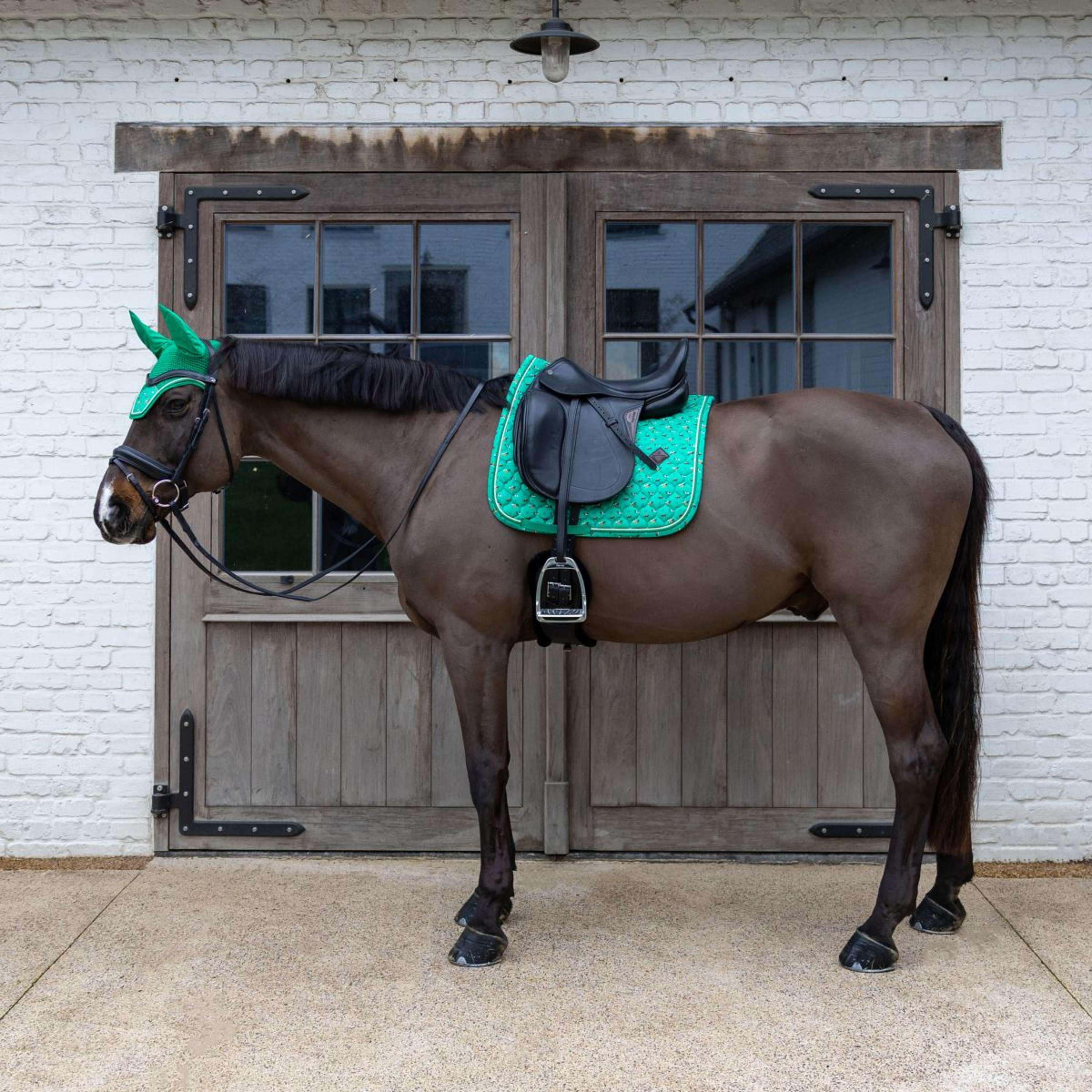 Kentucky Tapis de Selle Velvet Horse Printing Dressage Vert - Image 4