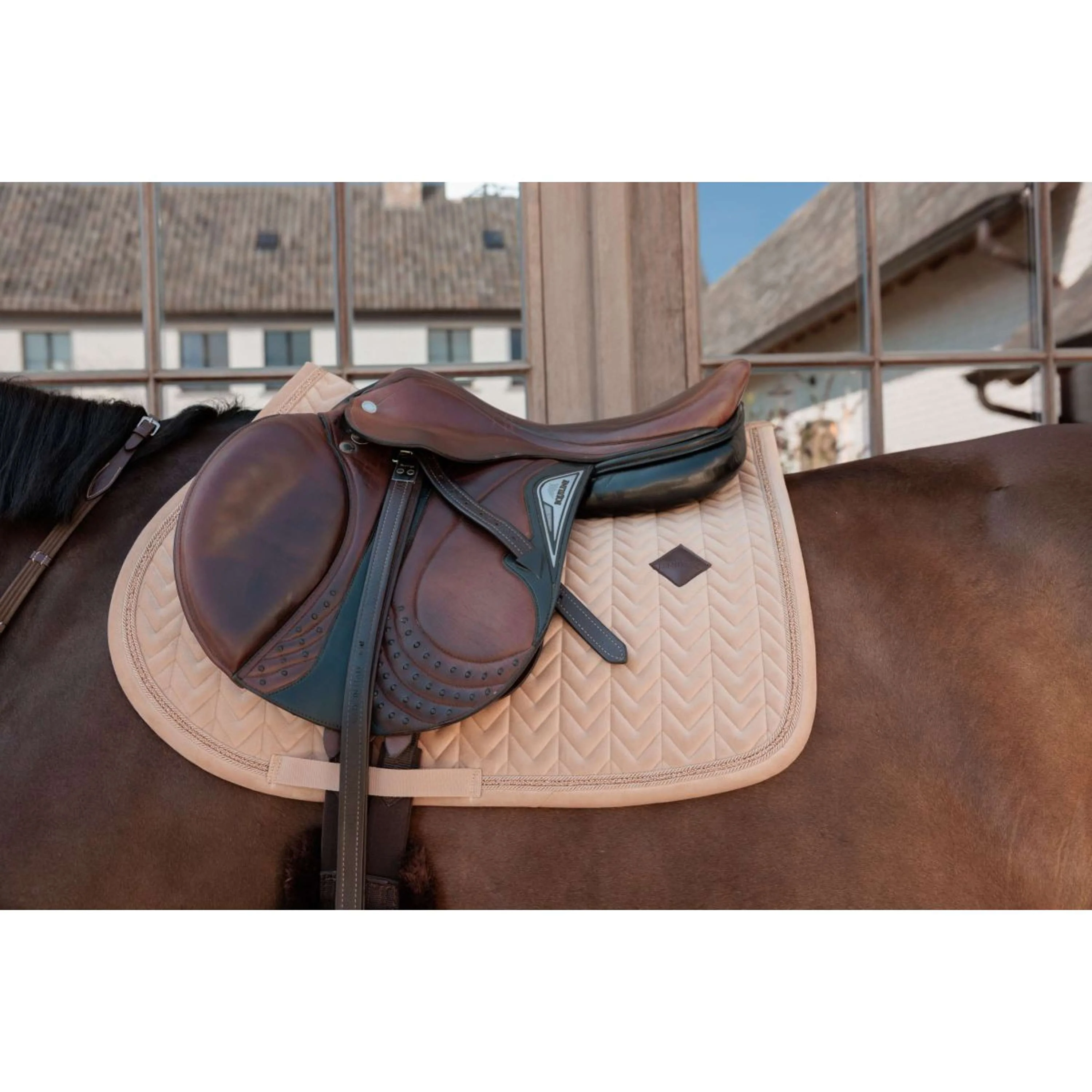 Kentucky Tapis de Selle Velvet Mini Pearls de Saut Beige - Image 3