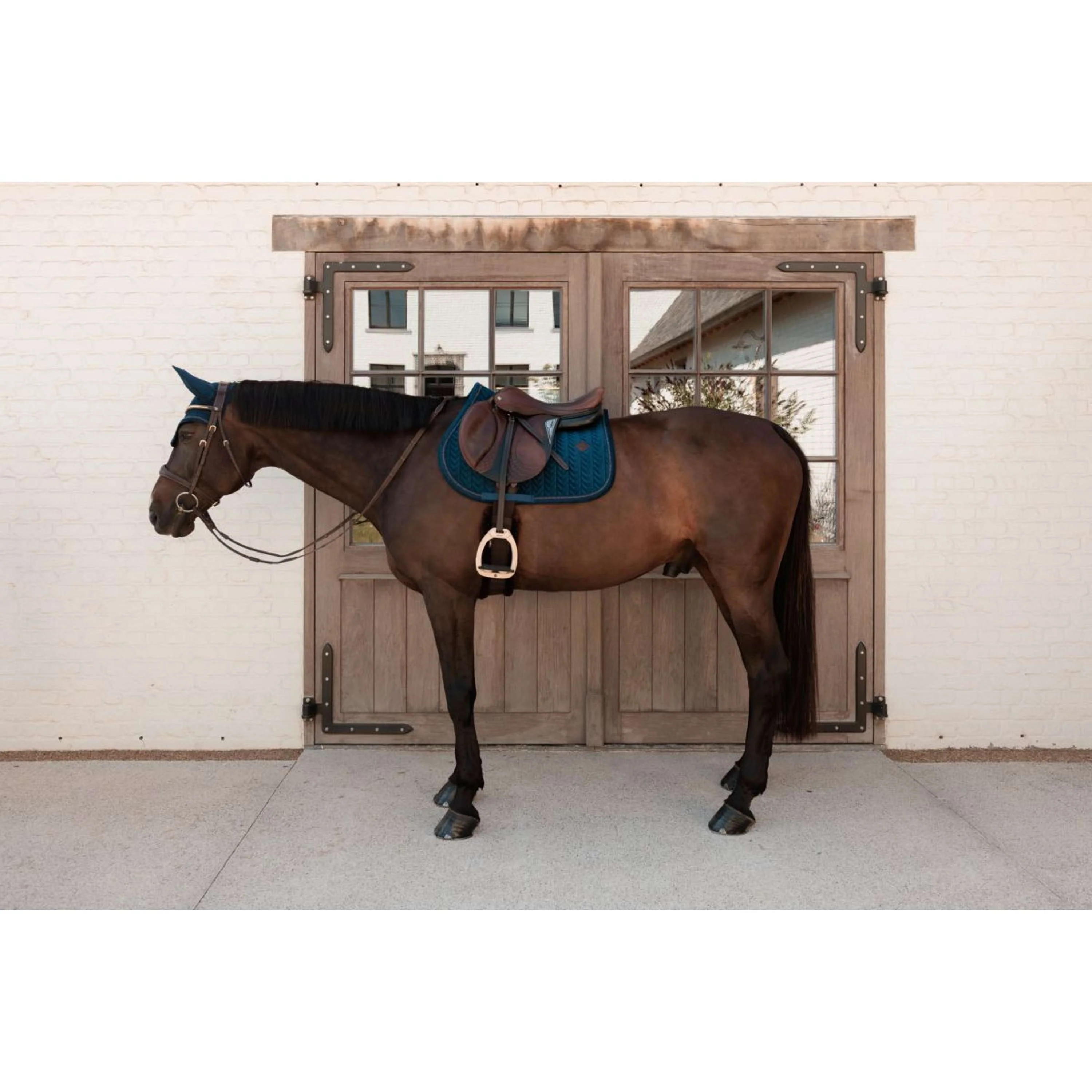 Kentucky Tapis de Selle Velvet Mini Pearls de Saut Marin - Image 2