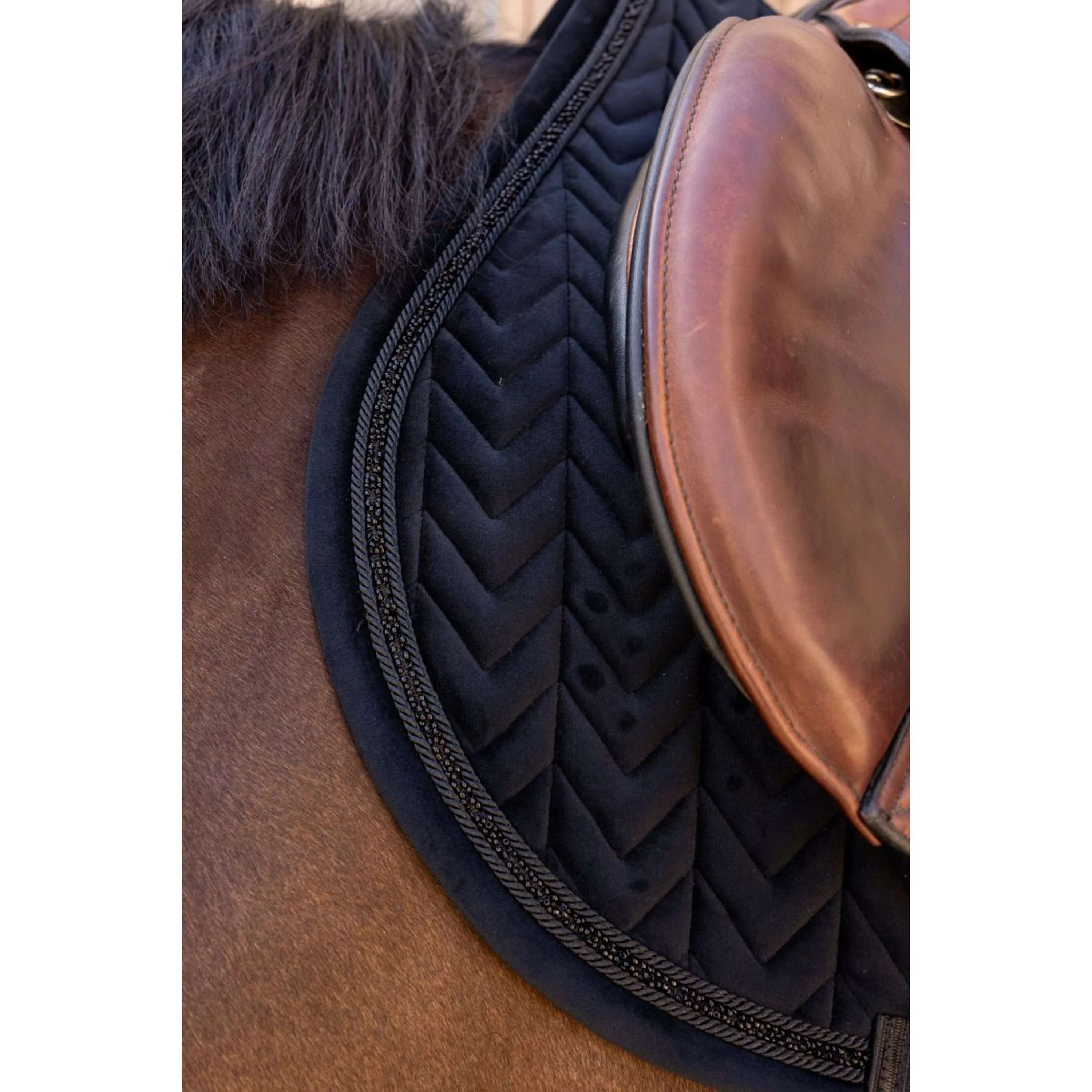 Kentucky Tapis de Selle Velvet Mini Pearls de Saut Noir - Image 4