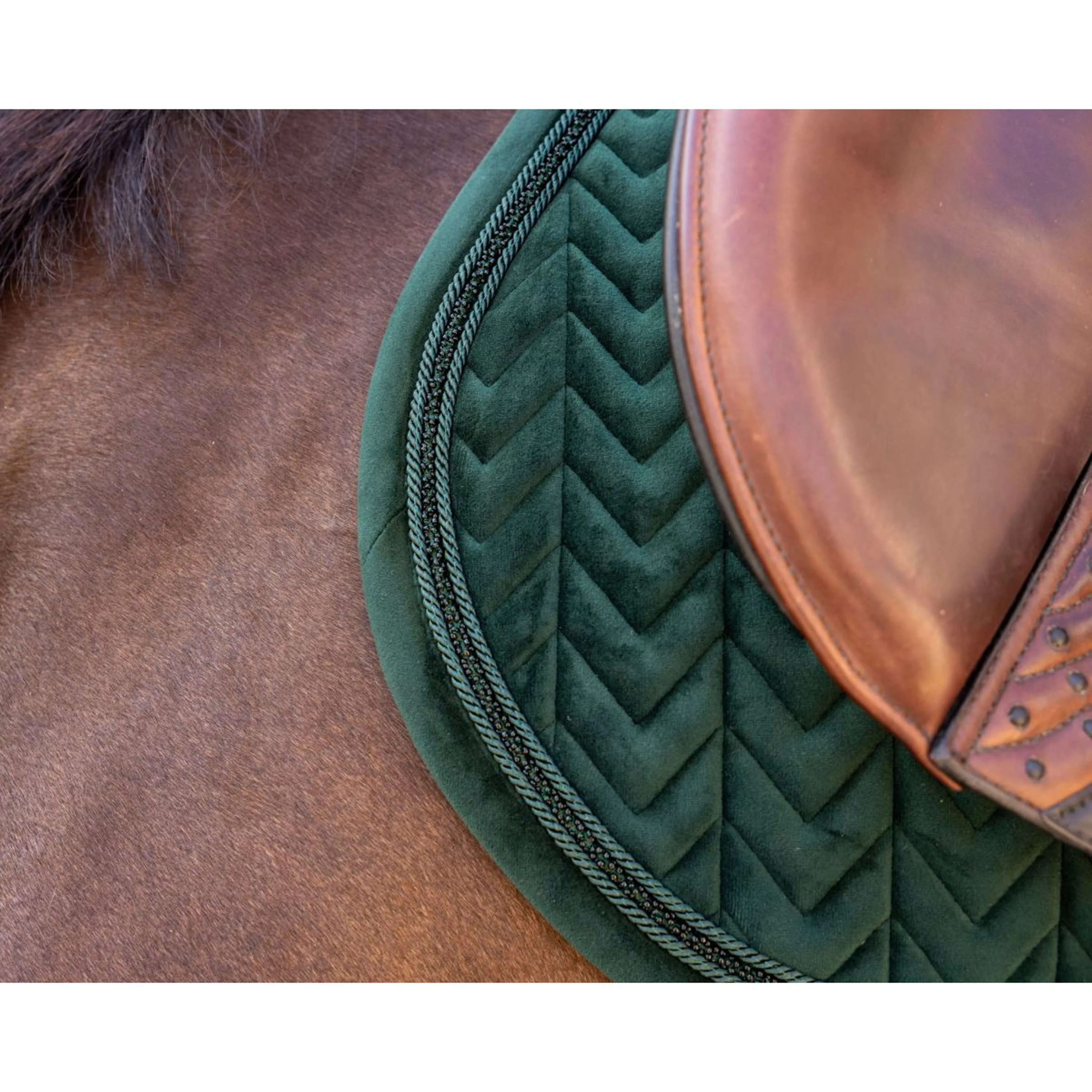 Kentucky Tapis de Selle Velvet Mini Pearls de Saut Pine Green - Image 4
