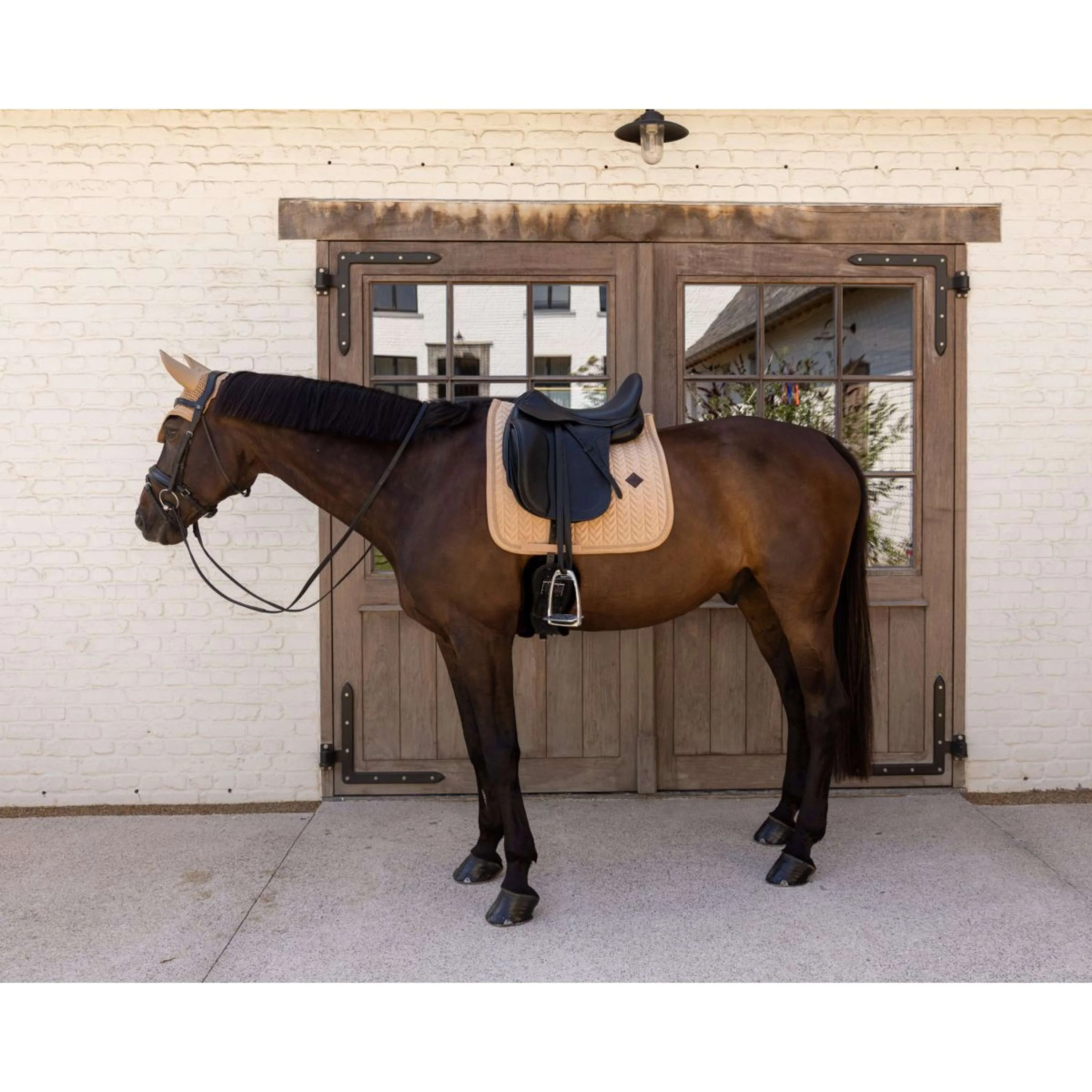 Kentucky Tapis de Selle Velvet Mini Pearls Dressage Beige - Image 2